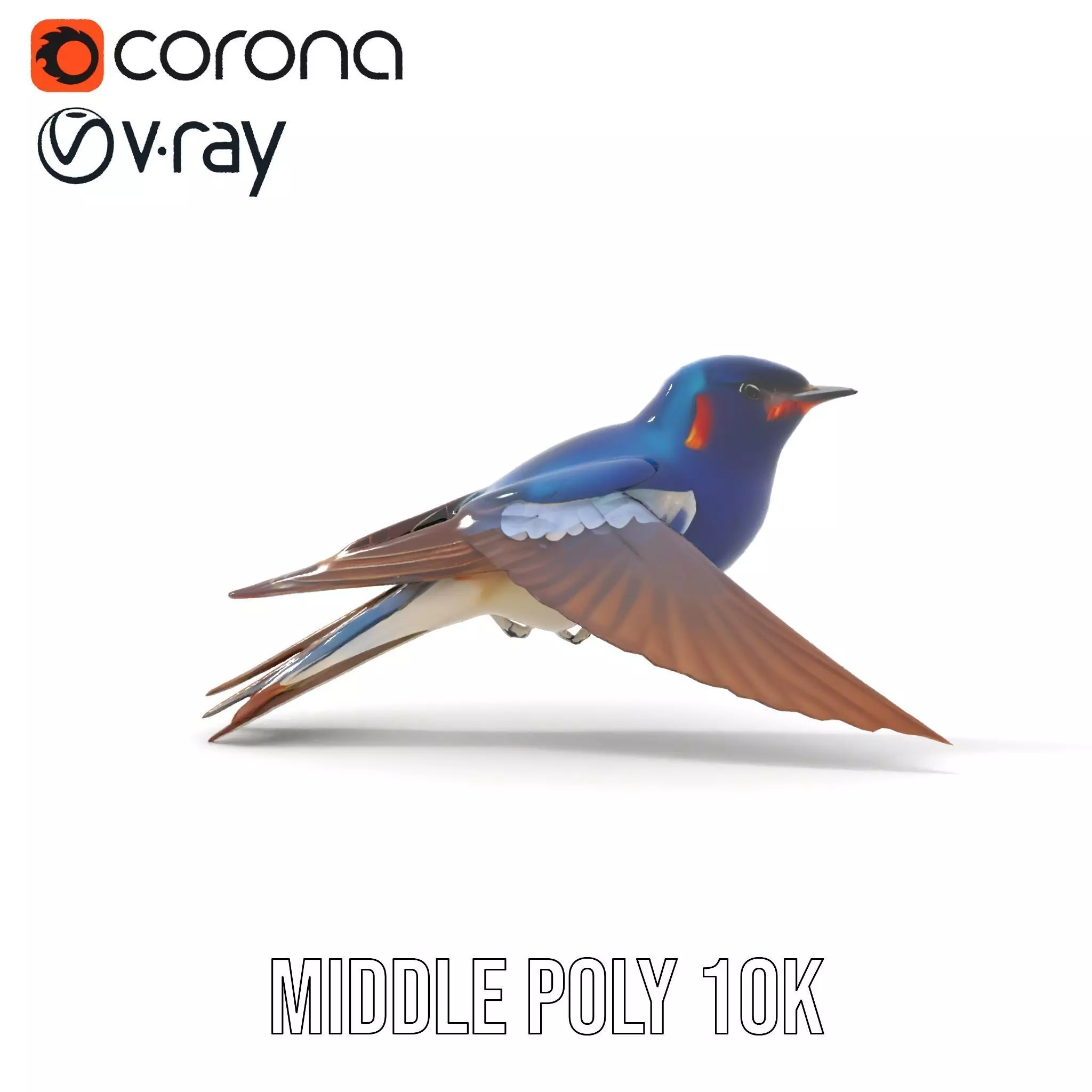 Vibrant Swallow model pack Low-poly 3D model_19