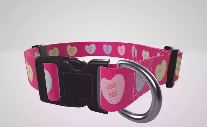 Native Pup Valentines Day Heart Dog Collar