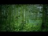 Low Poly Bamboo Trees Low-poly 3D model_1