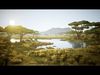 Low Poly Desert Biome Repack 3D Model Collection_1