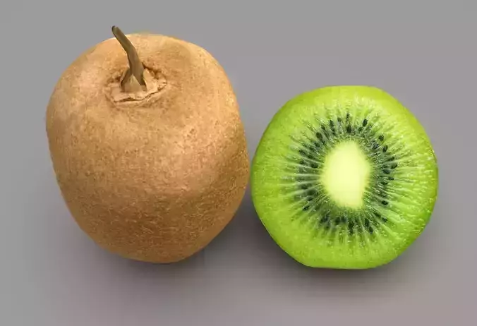 kiwi 3D 3D model 4