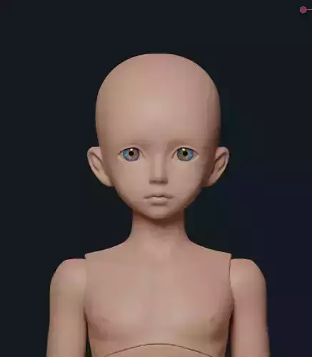 BJD DOLL 4 Scale