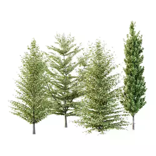 Different Trees 58 3D model Different Trees 58 3D model
