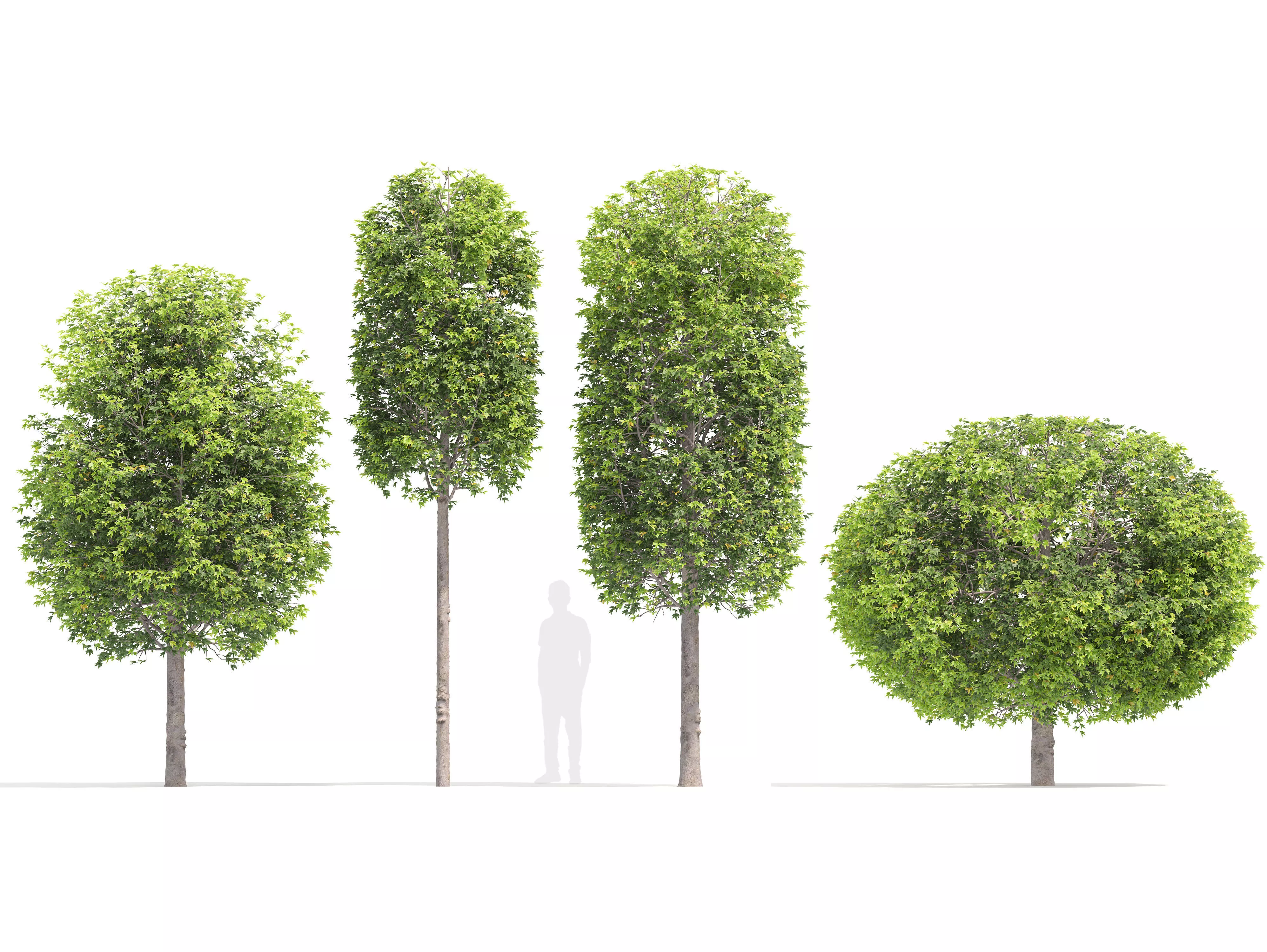 Topiary trees 02 3D model