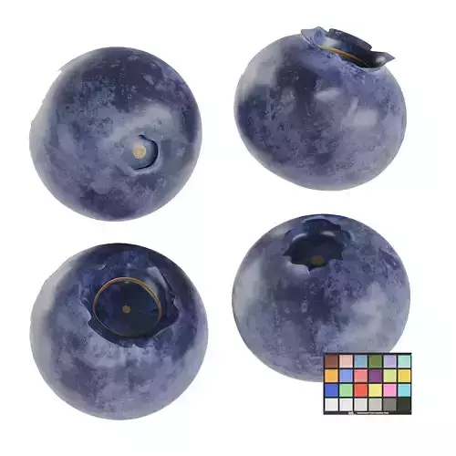 Blueberries Low-poly 3D model