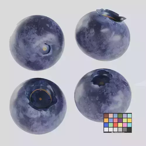 Blueberries Low-poly 3D model 2