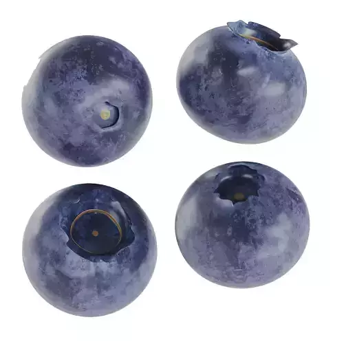 Blueberries Low-poly 3D model 3