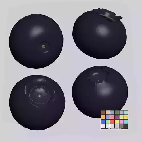 Blueberries Low-poly 3D model 6