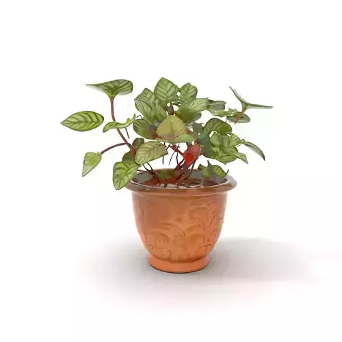 Ornate Copper Plant model pack