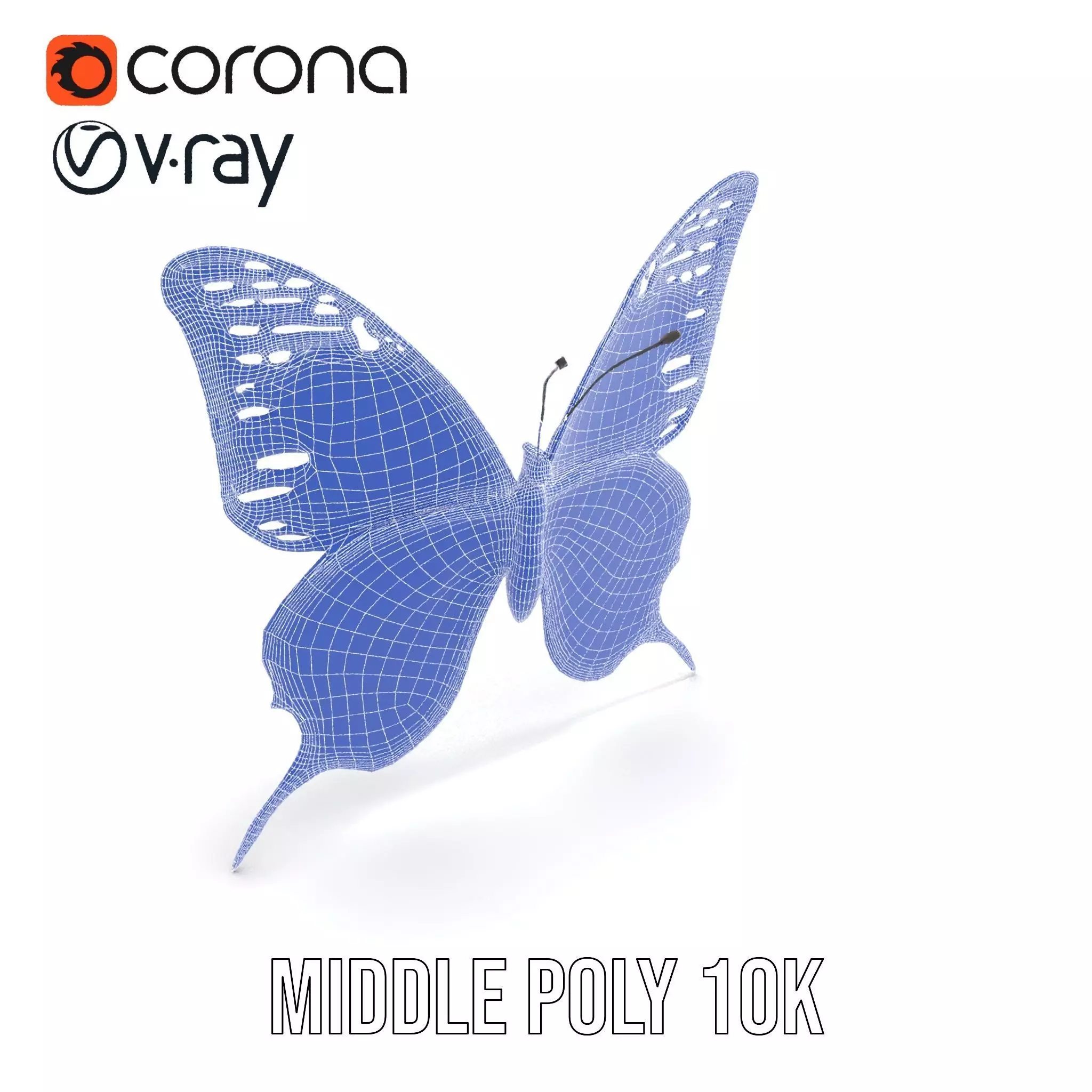 Vibrant Butterfly Wings model pack Low-poly 3D model_14