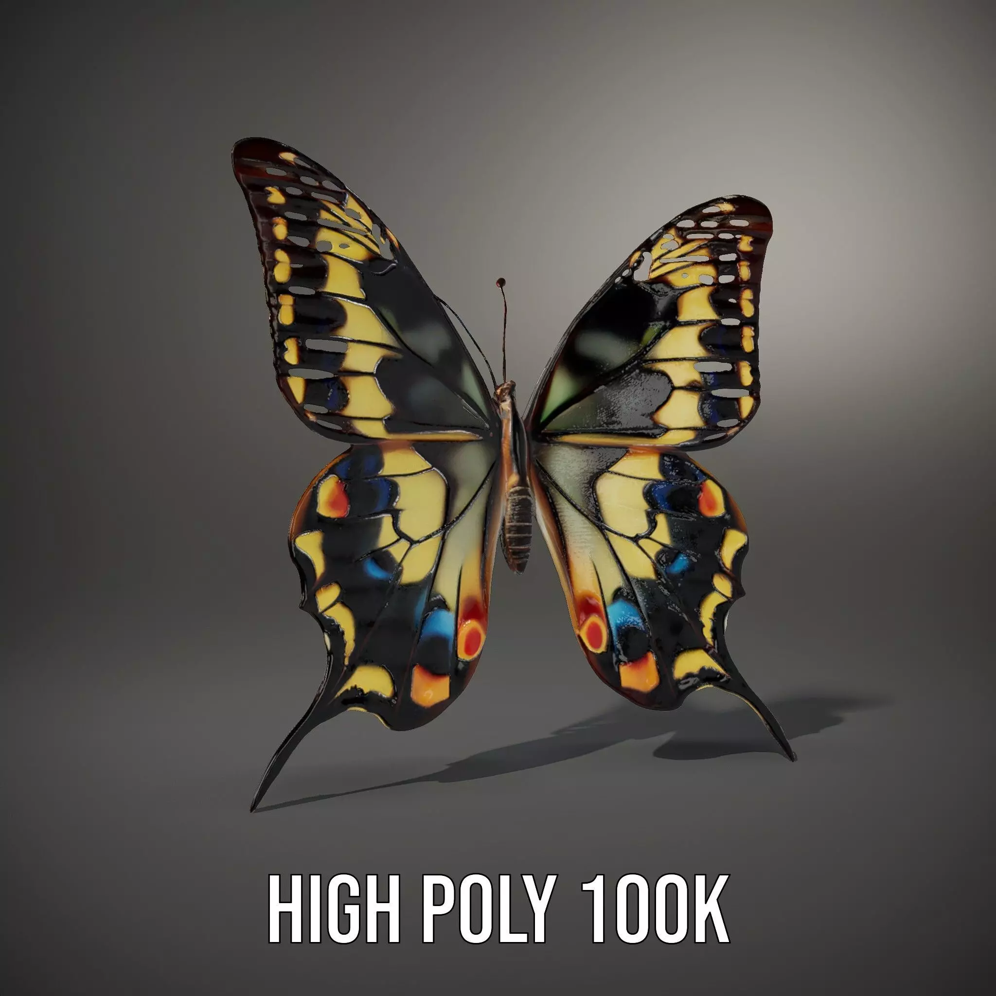 Vibrant Butterfly Wings model pack Low-poly 3D model_11