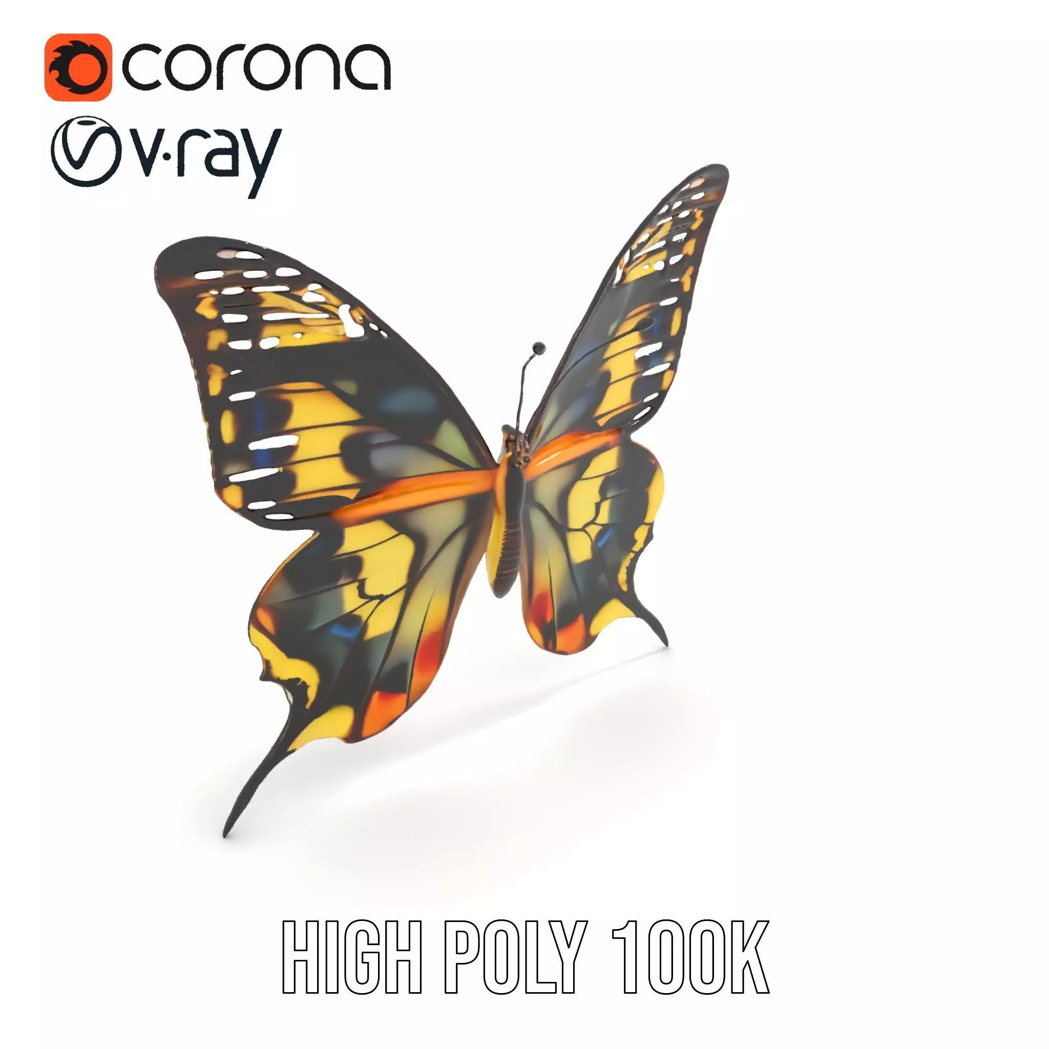 Vibrant Butterfly Wings model pack Low-poly 3D model_24