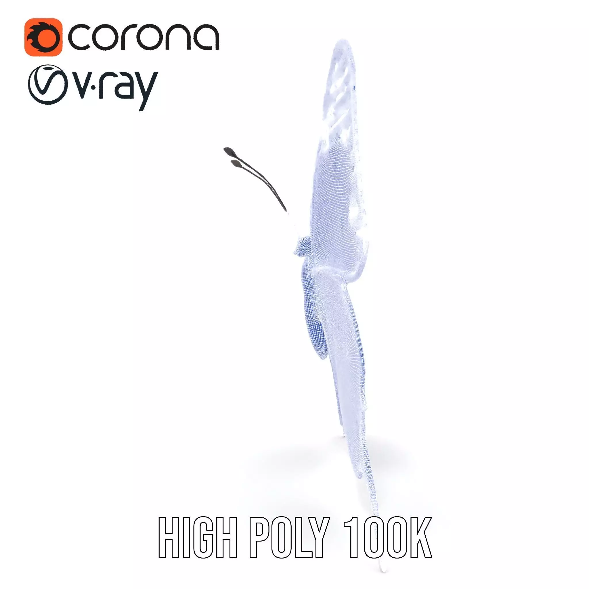 Vibrant Butterfly Wings model pack Low-poly 3D model_34