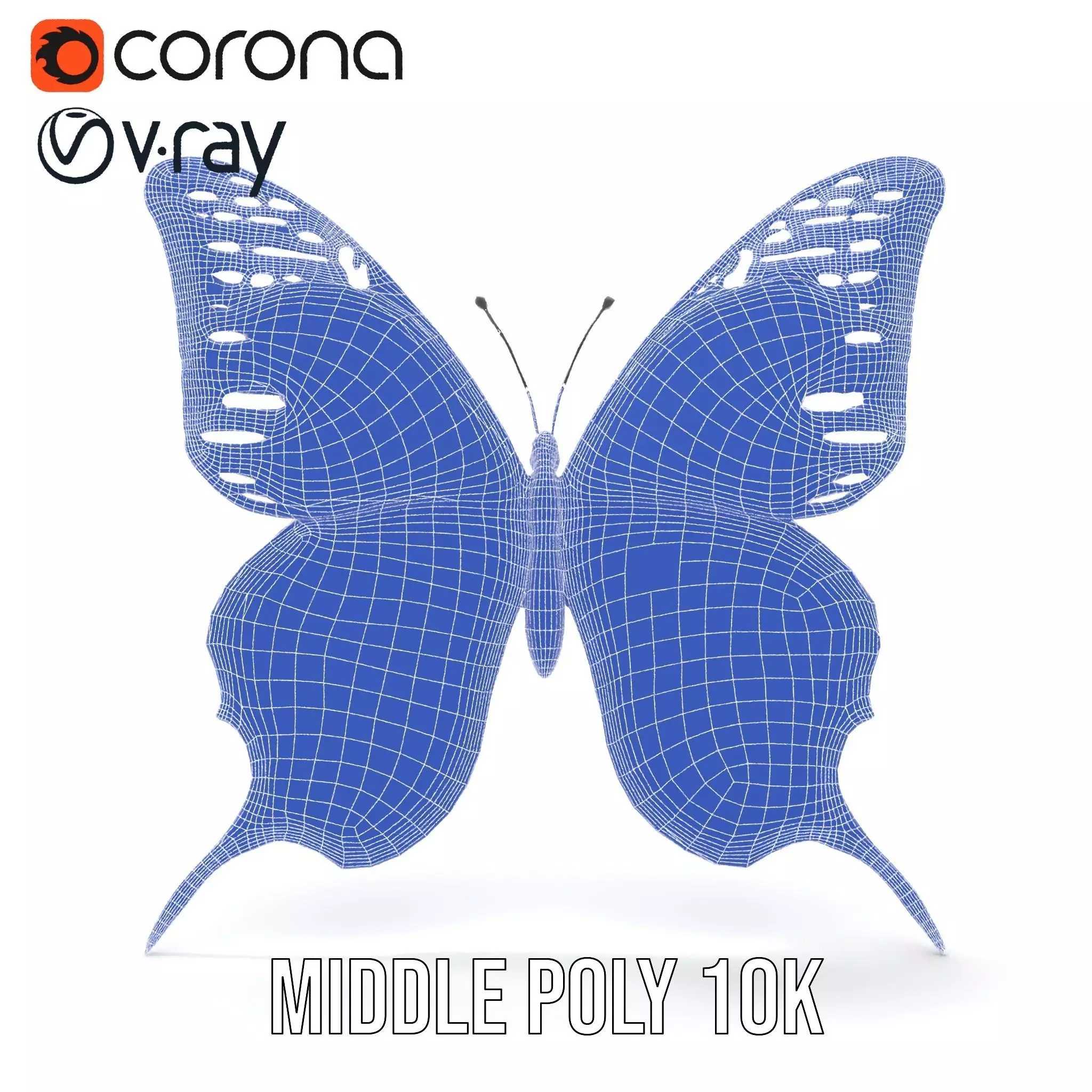 Vibrant Butterfly Wings model pack Low-poly 3D model_19