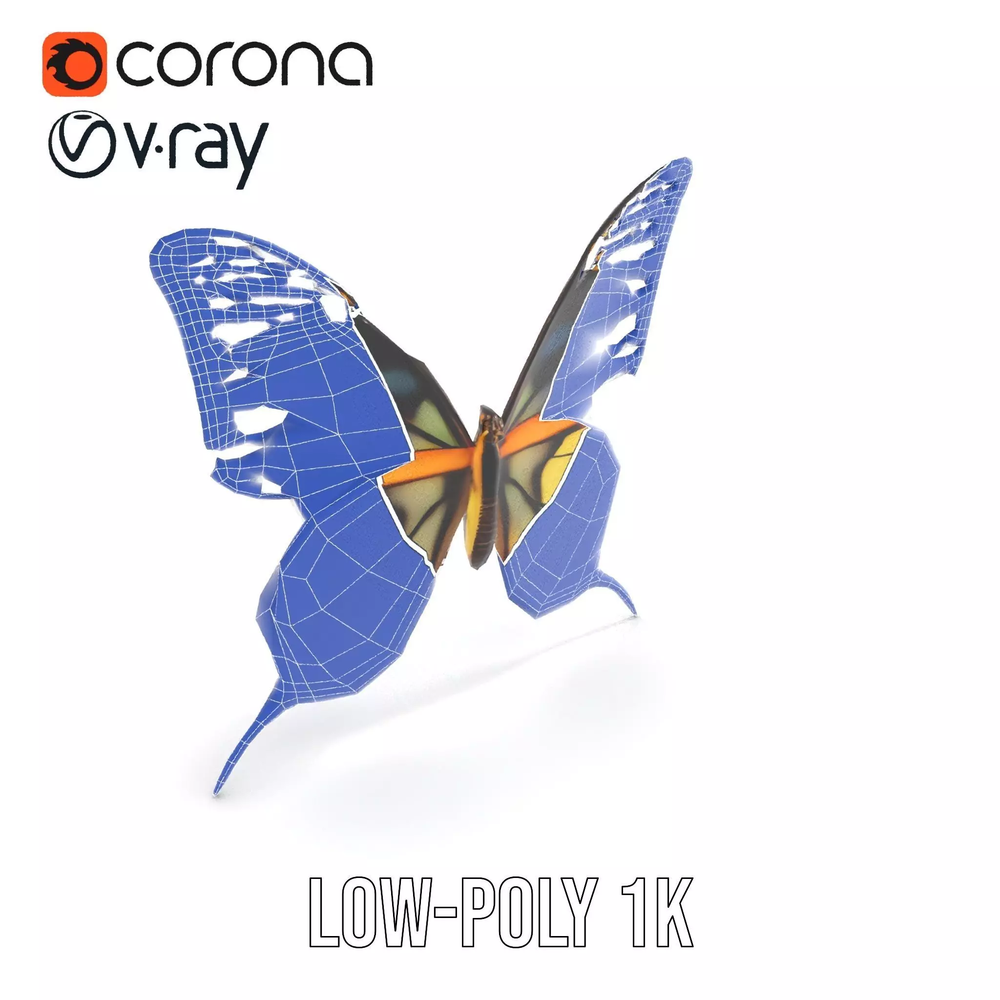 Vibrant Butterfly Wings model pack Low-poly 3D model_20