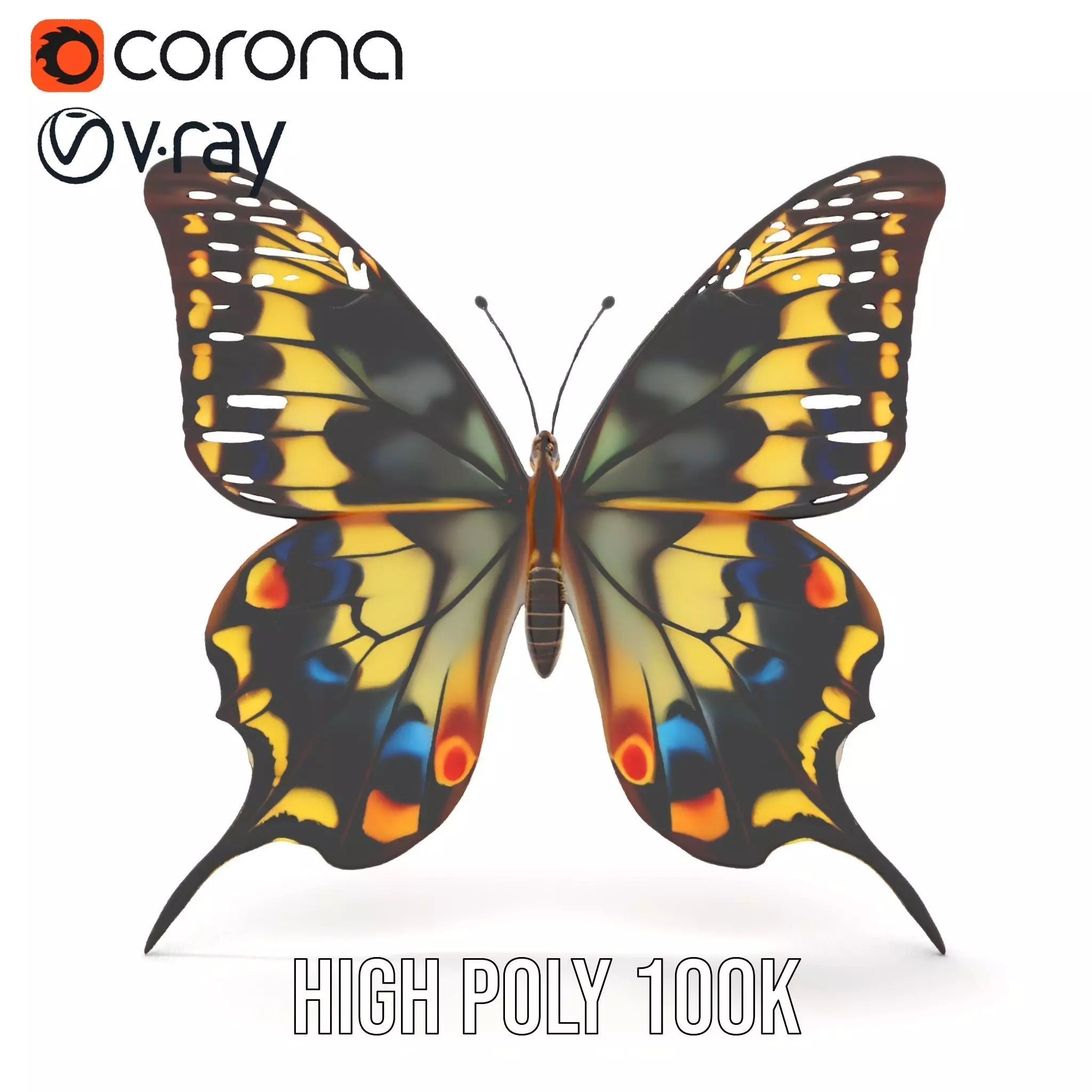 Vibrant Butterfly Wings model pack Low-poly 3D model_21
