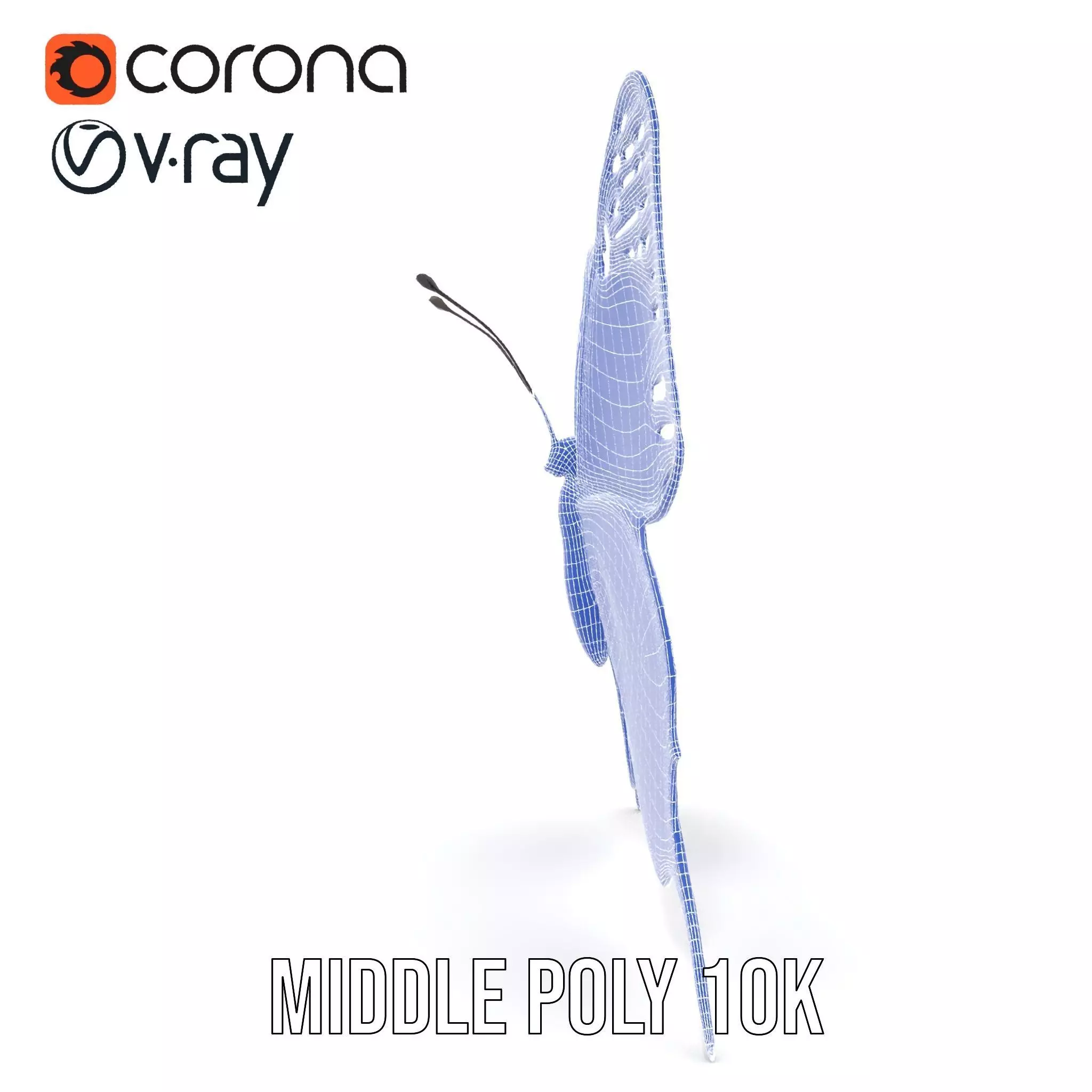 Vibrant Butterfly Wings model pack Low-poly 3D model_30