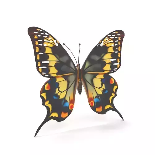 Vibrant Butterfly Wings model pack
