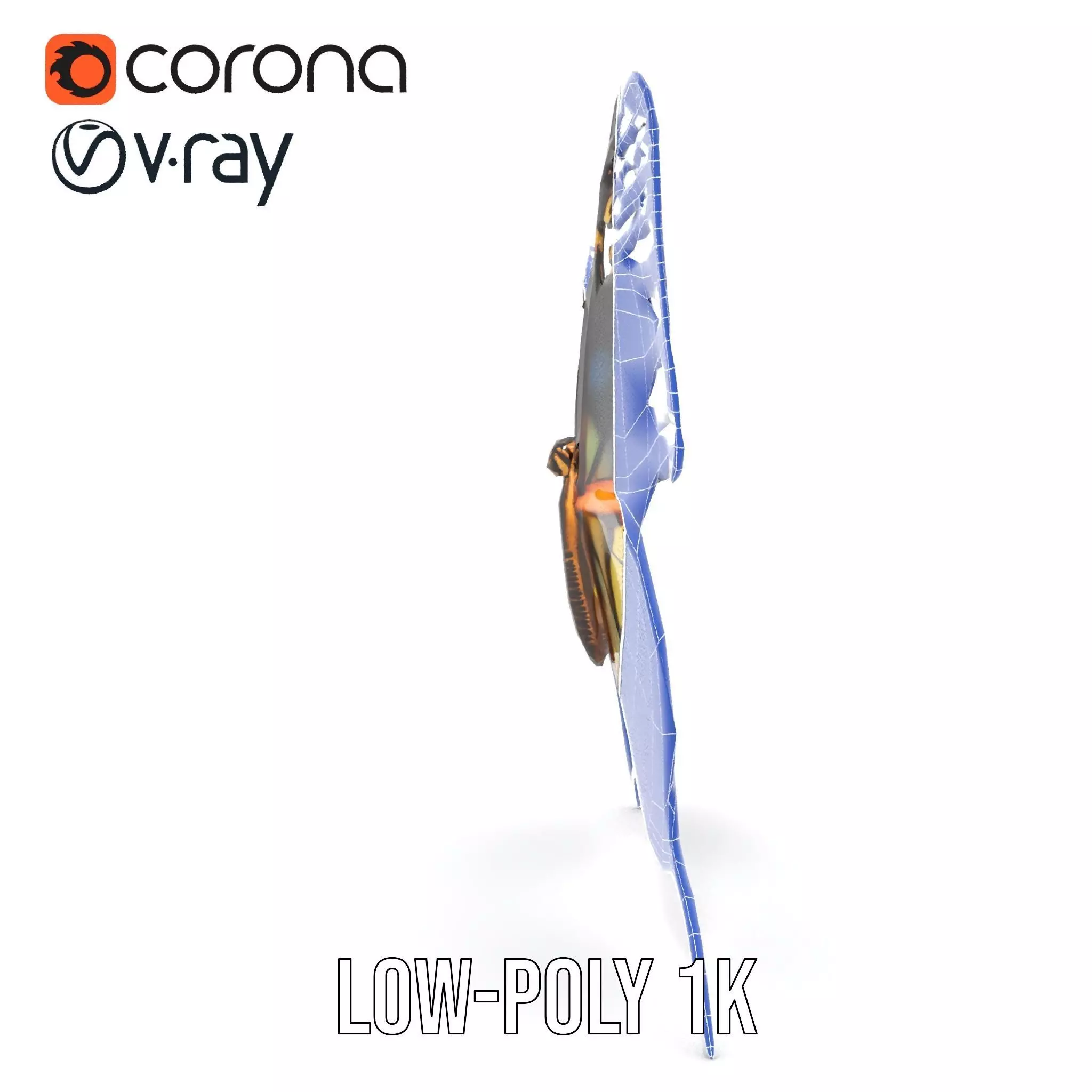 Vibrant Butterfly Wings model pack Low-poly 3D model_23