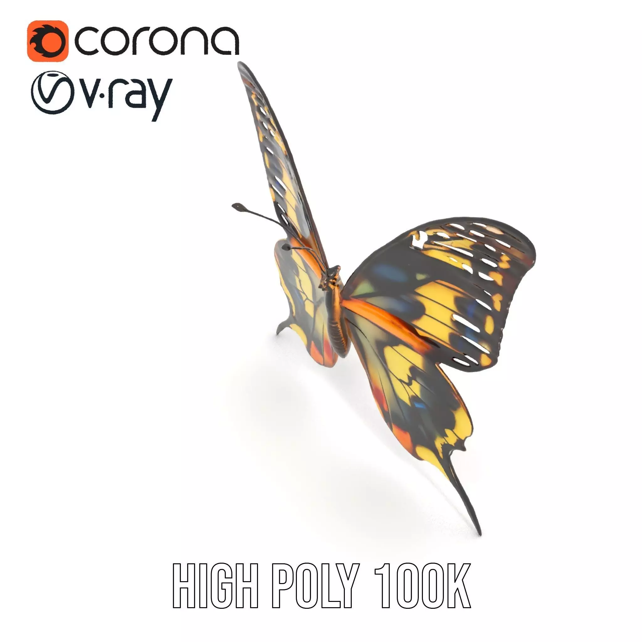Vibrant Butterfly Wings model pack Low-poly 3D model_29
