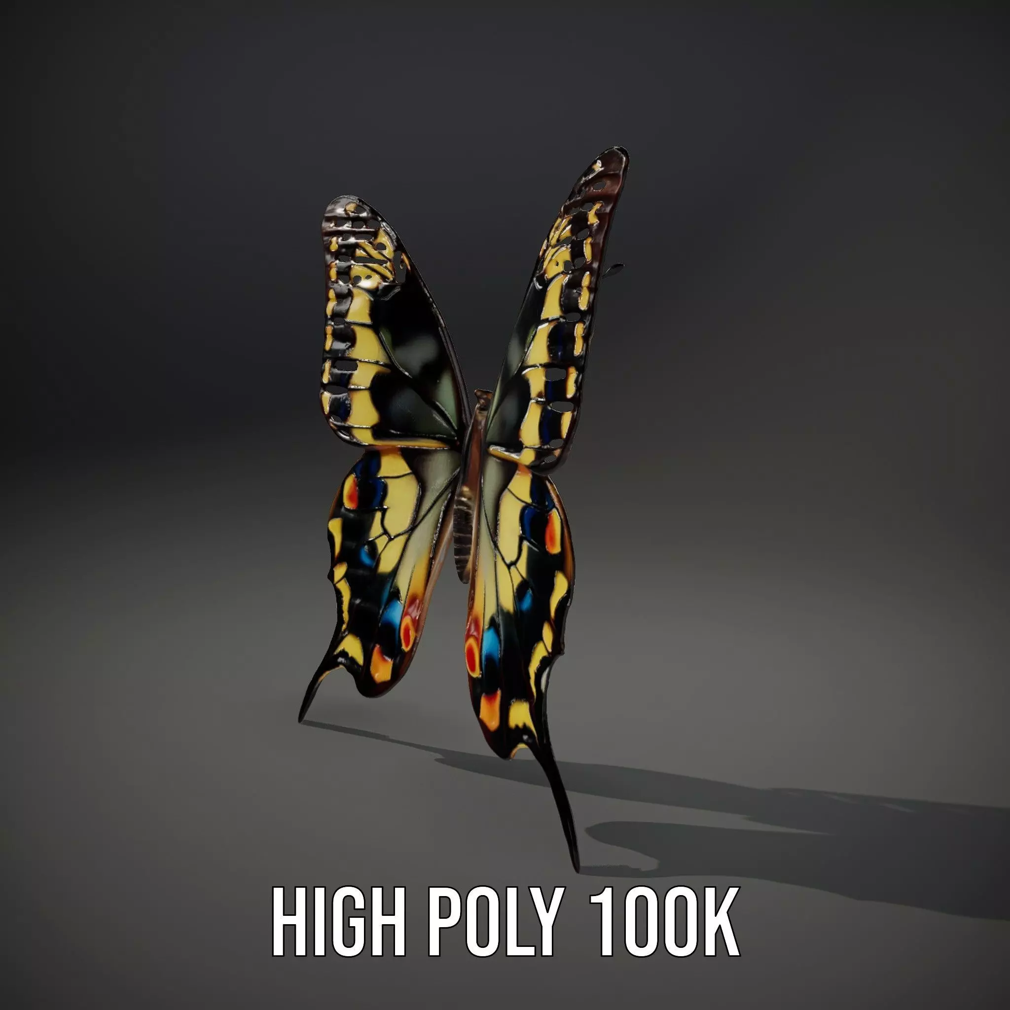 Vibrant Butterfly Wings model pack Low-poly 3D model_9