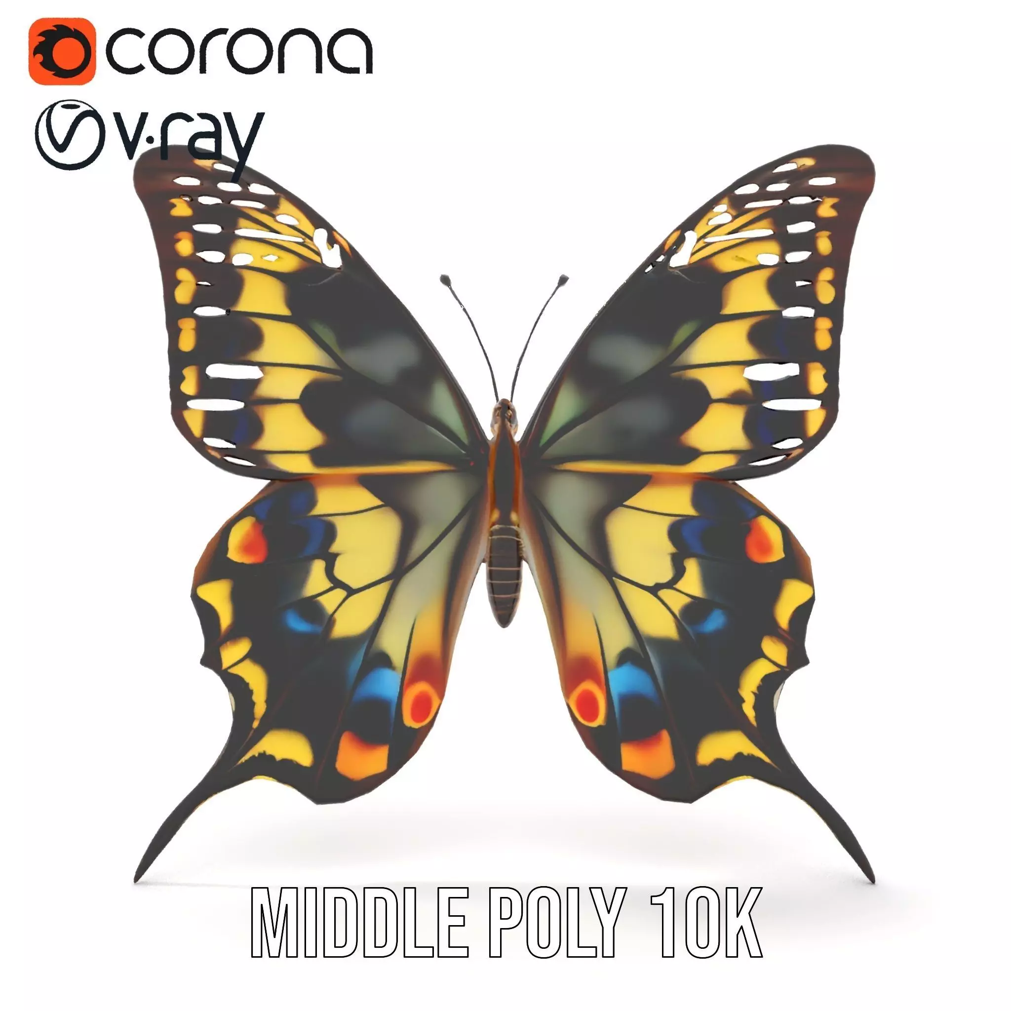 Vibrant Butterfly Wings model pack Low-poly 3D model_7