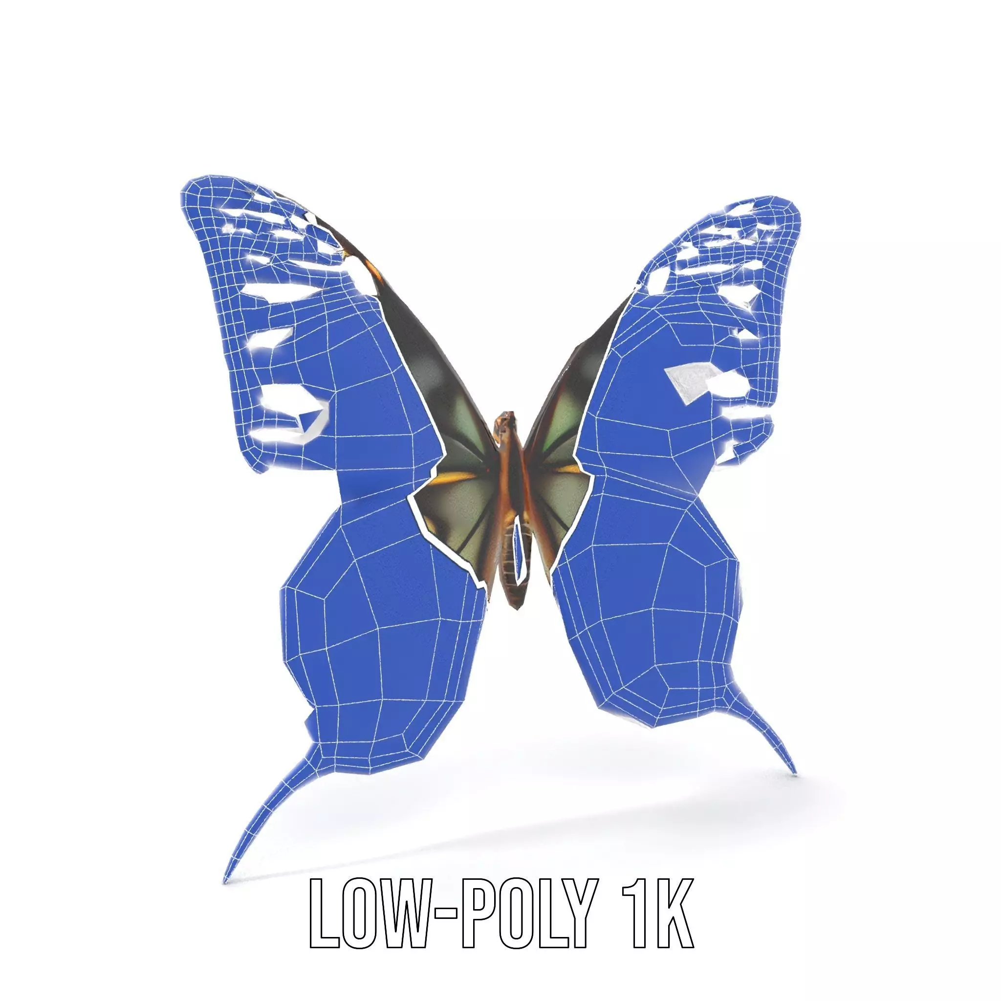 Vibrant Butterfly Wings model pack Low-poly 3D model_13