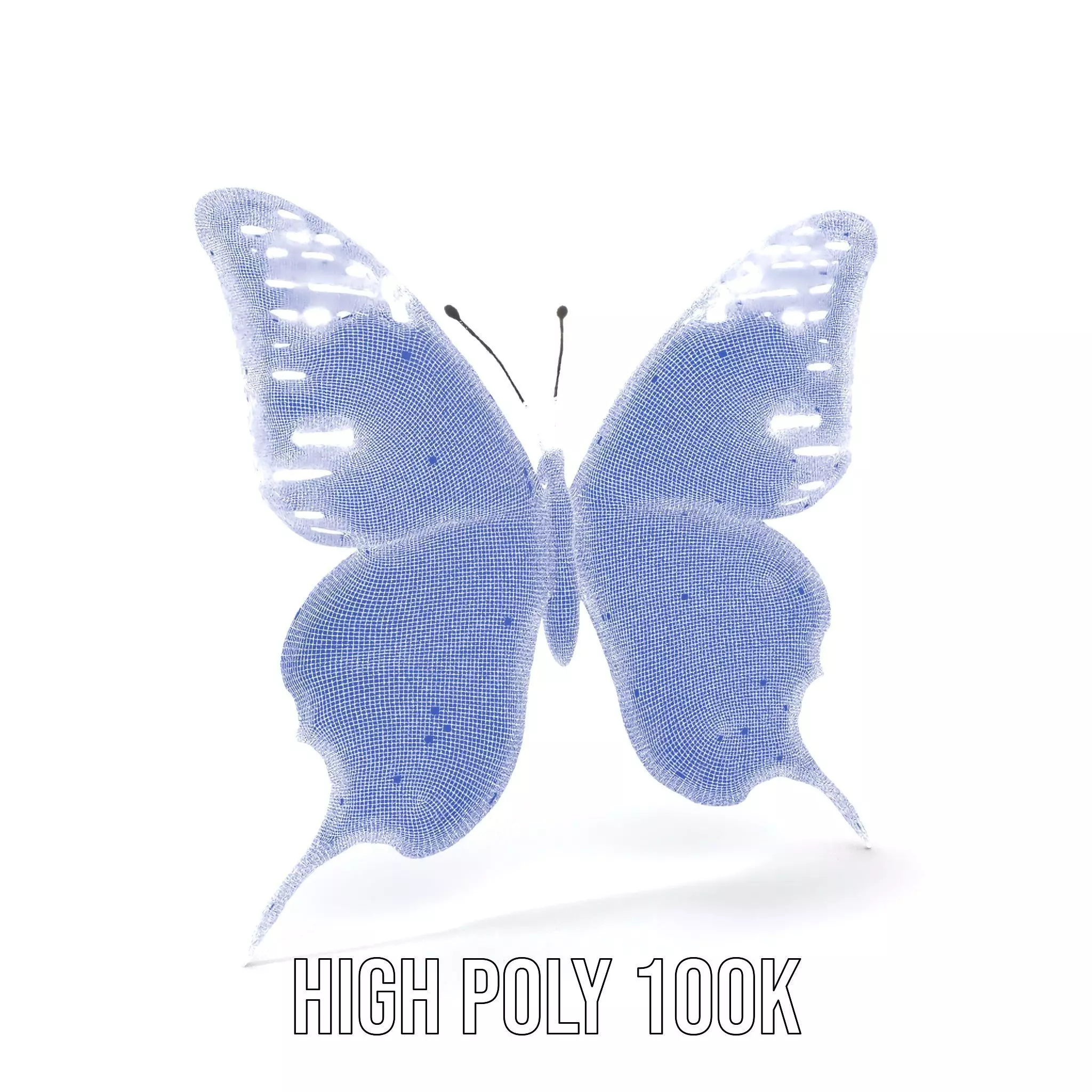 Vibrant Butterfly Wings model pack Low-poly 3D model_5