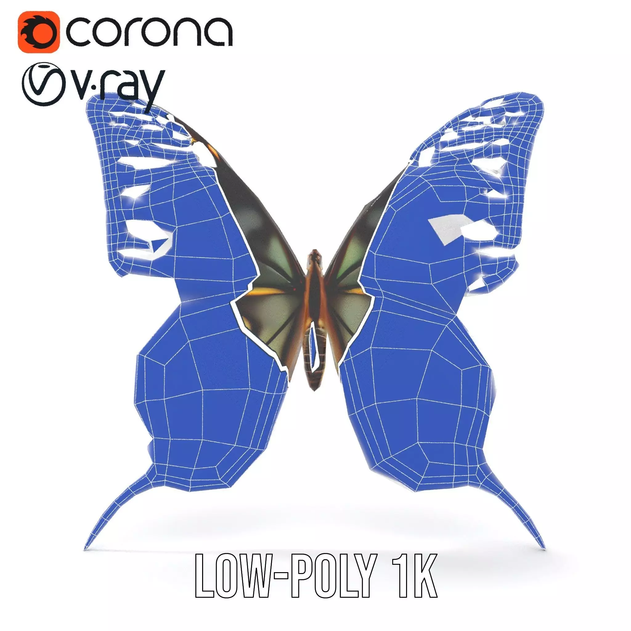 Vibrant Butterfly Wings model pack Low-poly 3D model_31