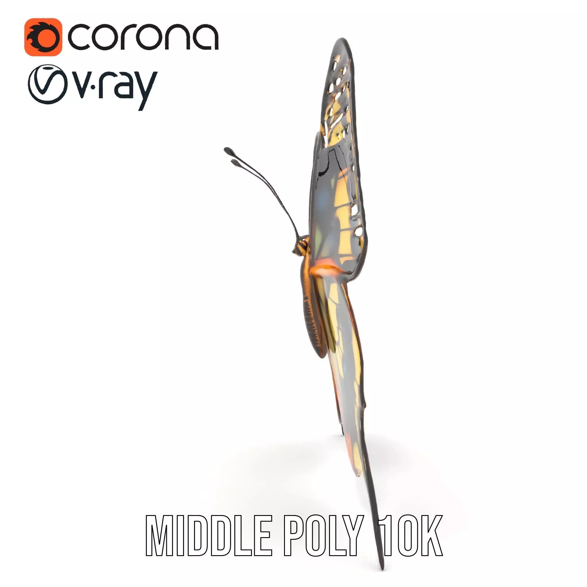 Vibrant Butterfly Wings model pack Low-poly 3D model_6