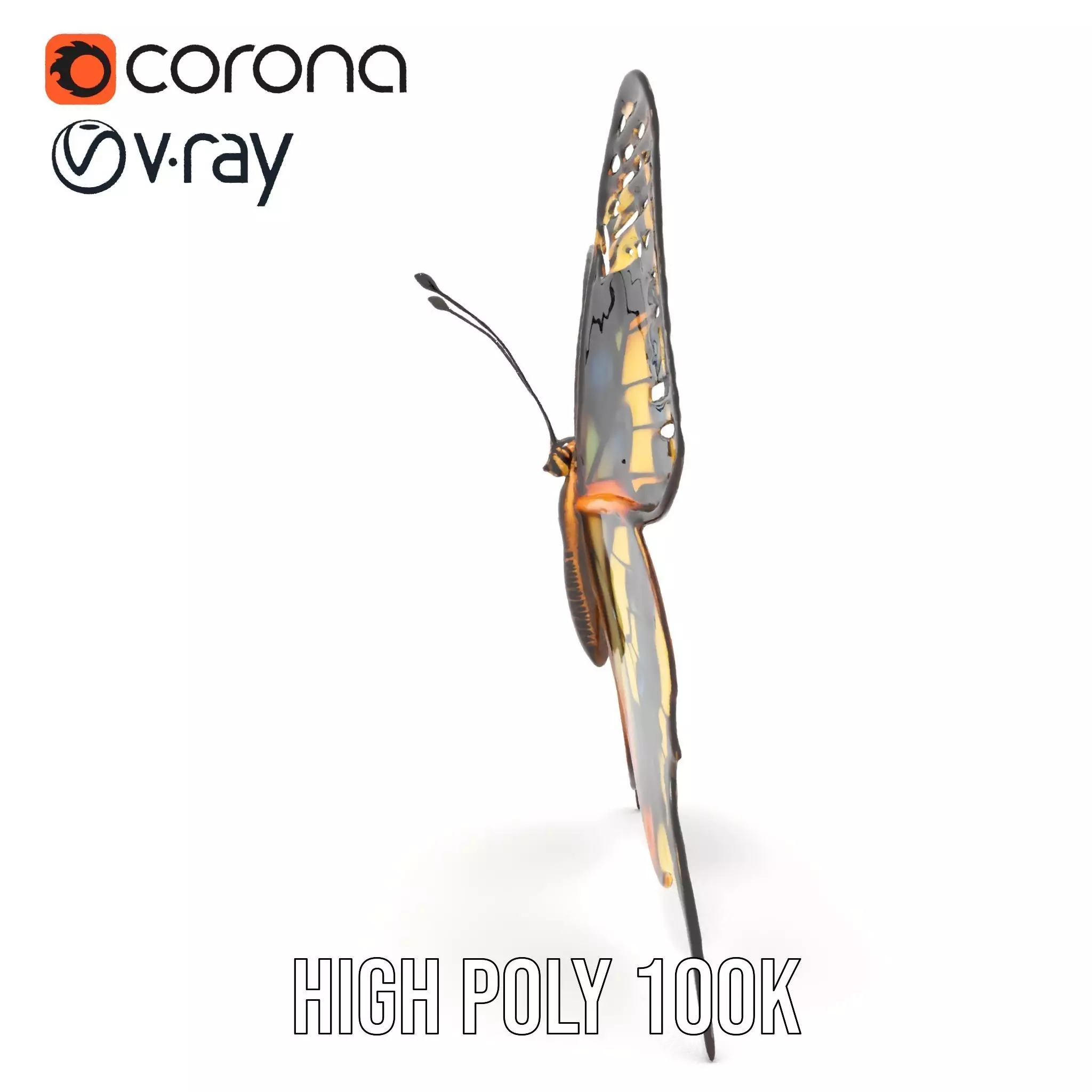 Vibrant Butterfly Wings model pack Low-poly 3D model_16