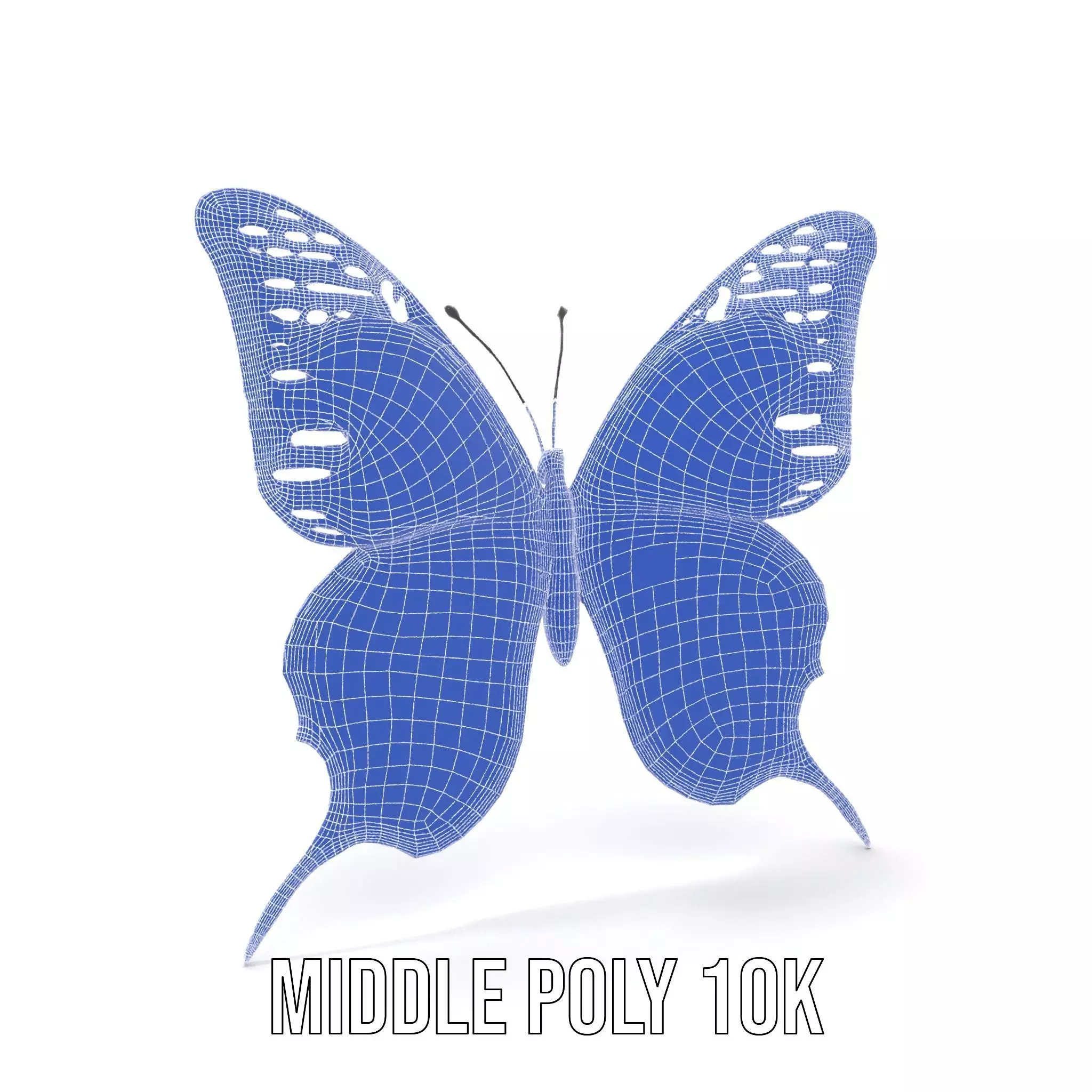 Vibrant Butterfly Wings model pack Low-poly 3D model_25
