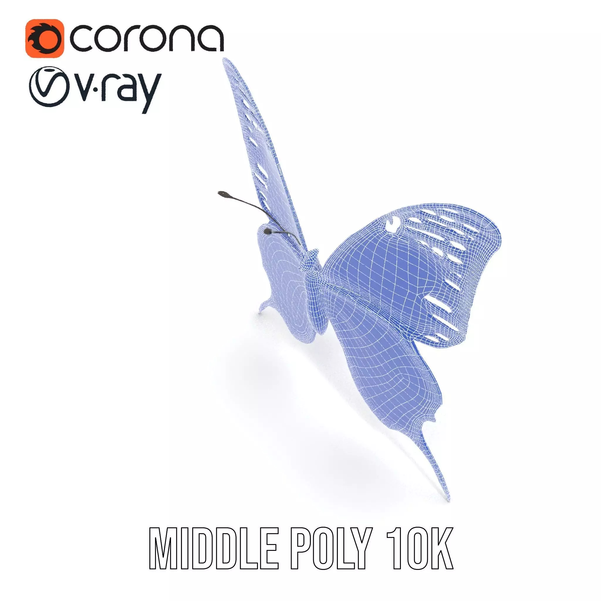 Vibrant Butterfly Wings model pack Low-poly 3D model_17