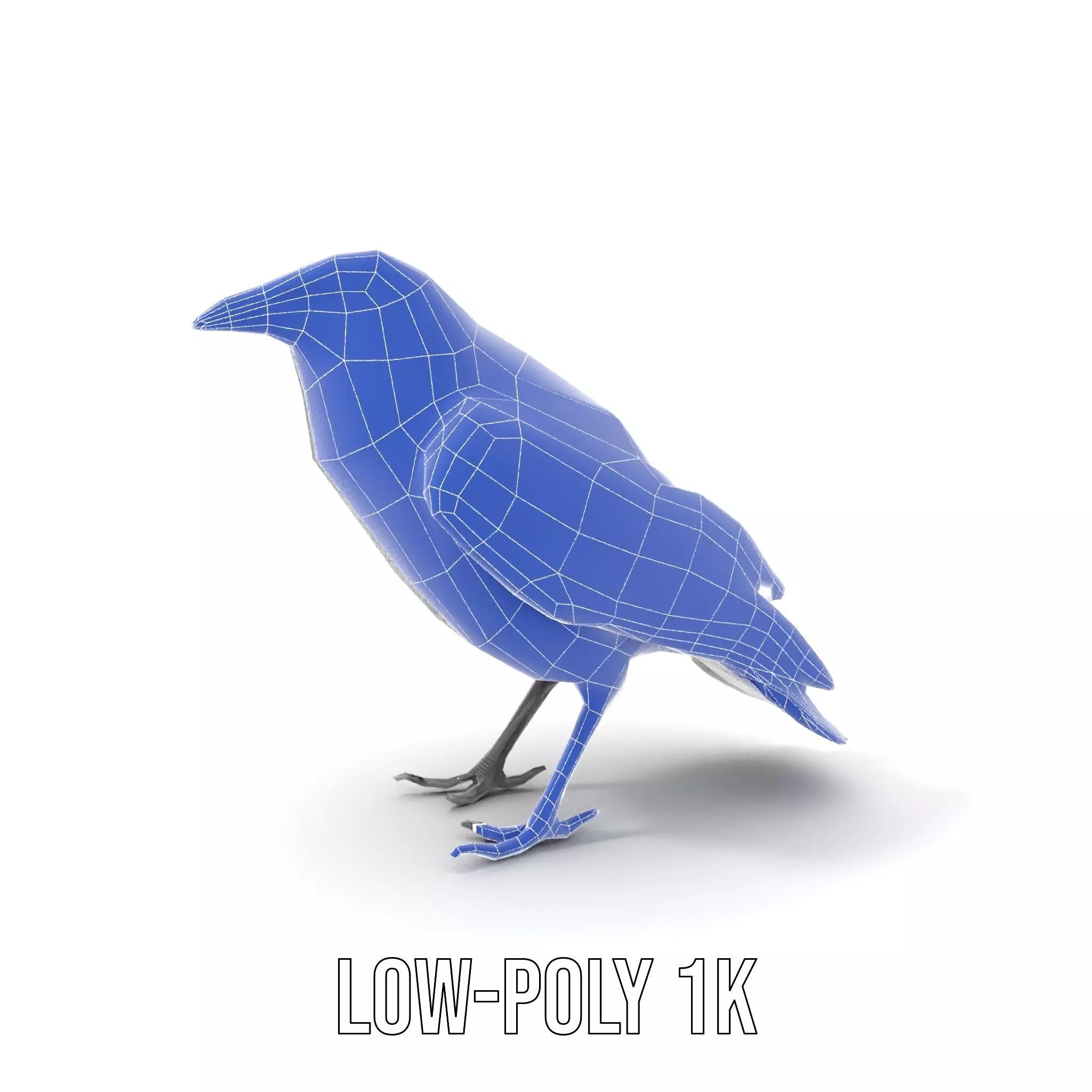 Sleek Raven Bird model pack Low-poly 3D model_7