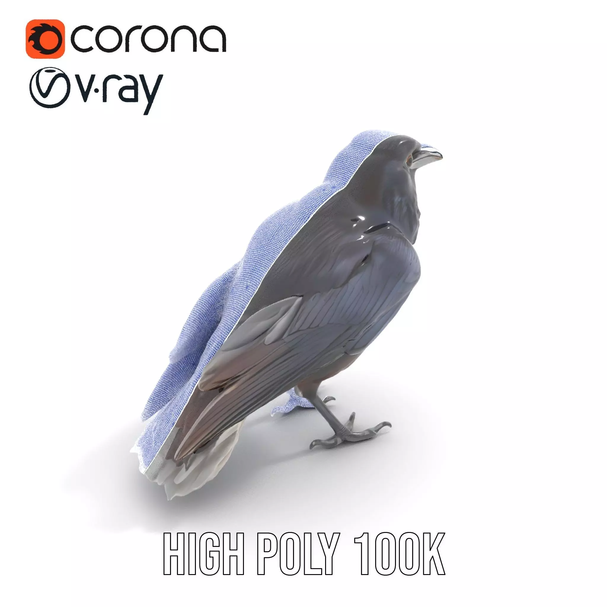 Sleek Raven Bird model pack Low-poly 3D model_34