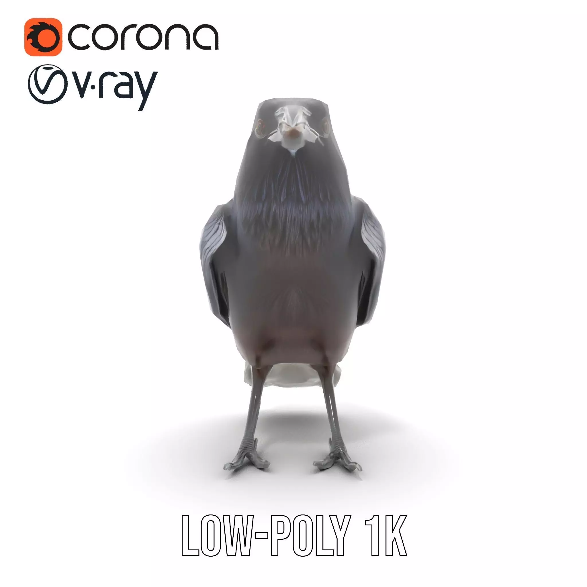 Sleek Raven Bird model pack Low-poly 3D model_27