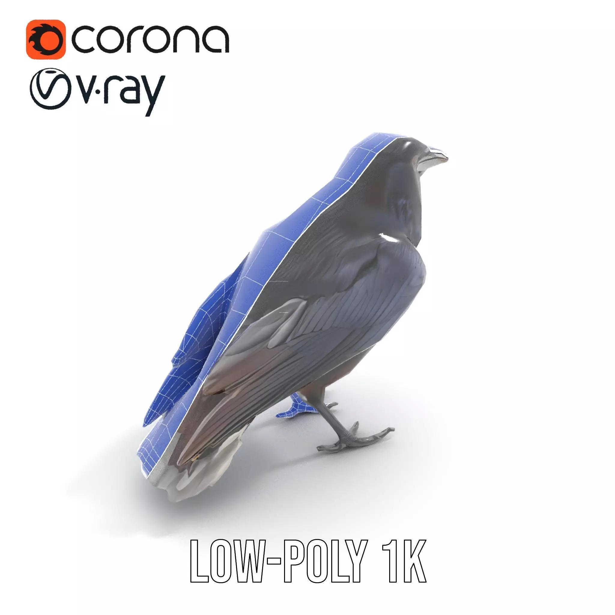 Sleek Raven Bird model pack Low-poly 3D model_22