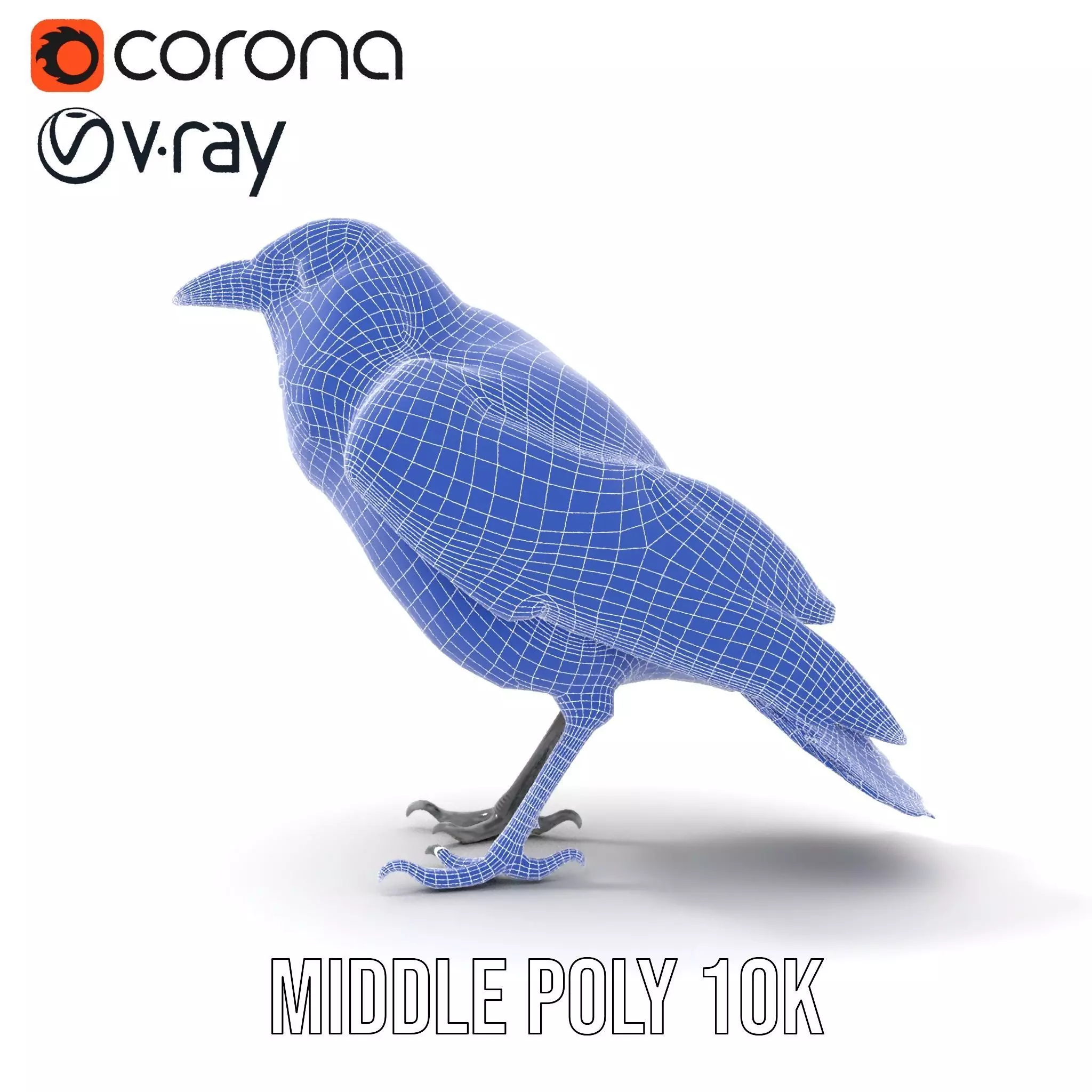 Sleek Raven Bird model pack Low-poly 3D model_21