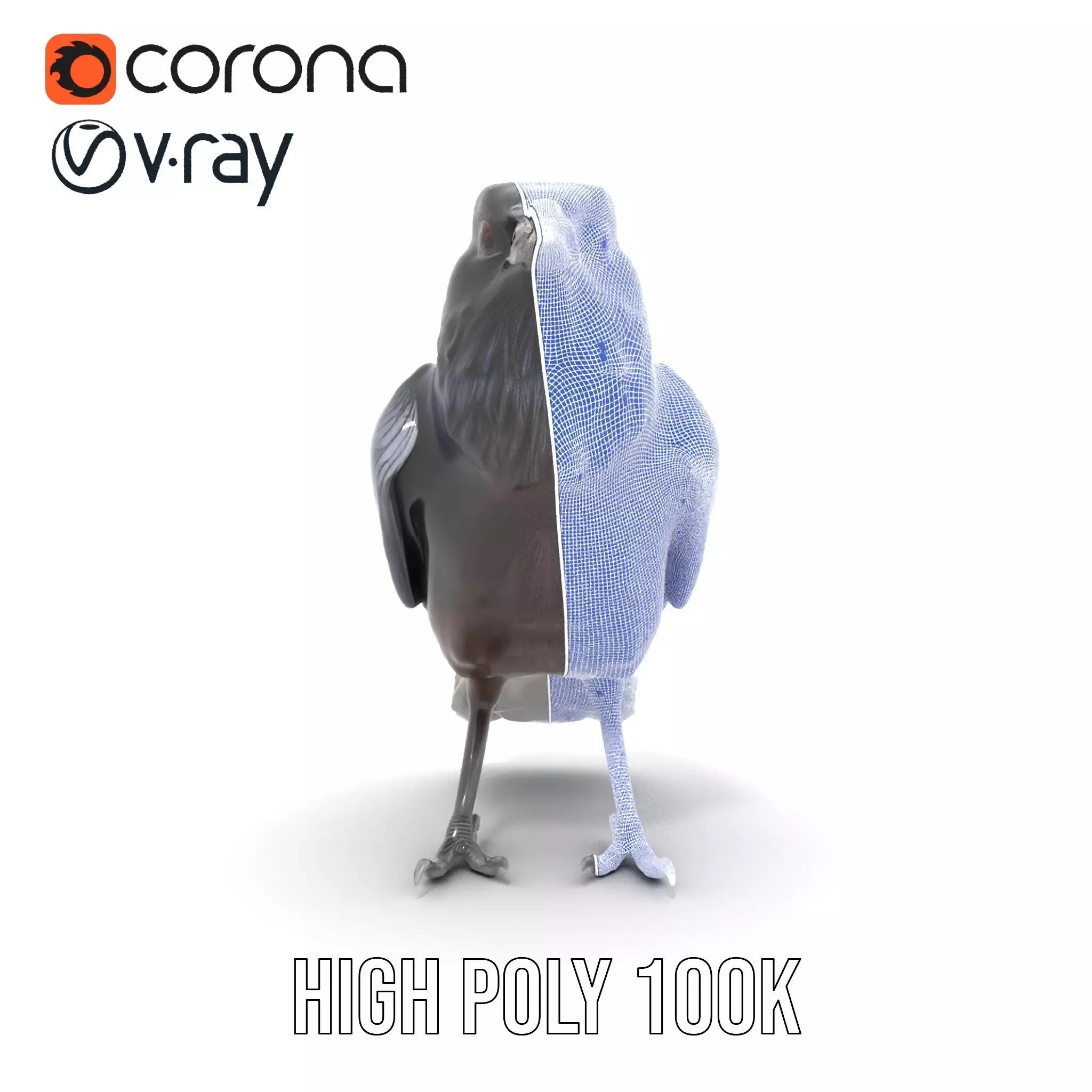 Sleek Raven Bird model pack Low-poly 3D model_33