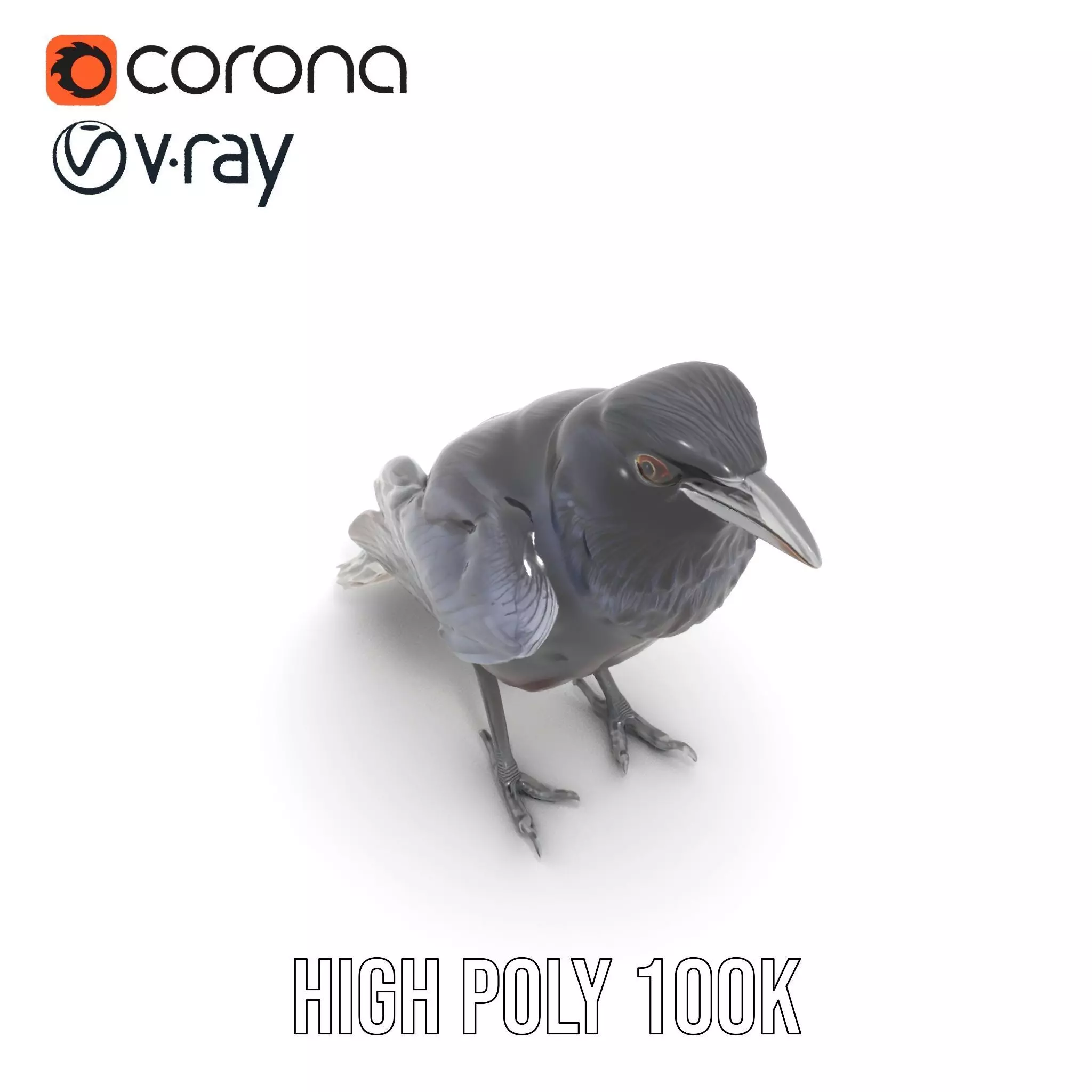 Sleek Raven Bird model pack Low-poly 3D model_17