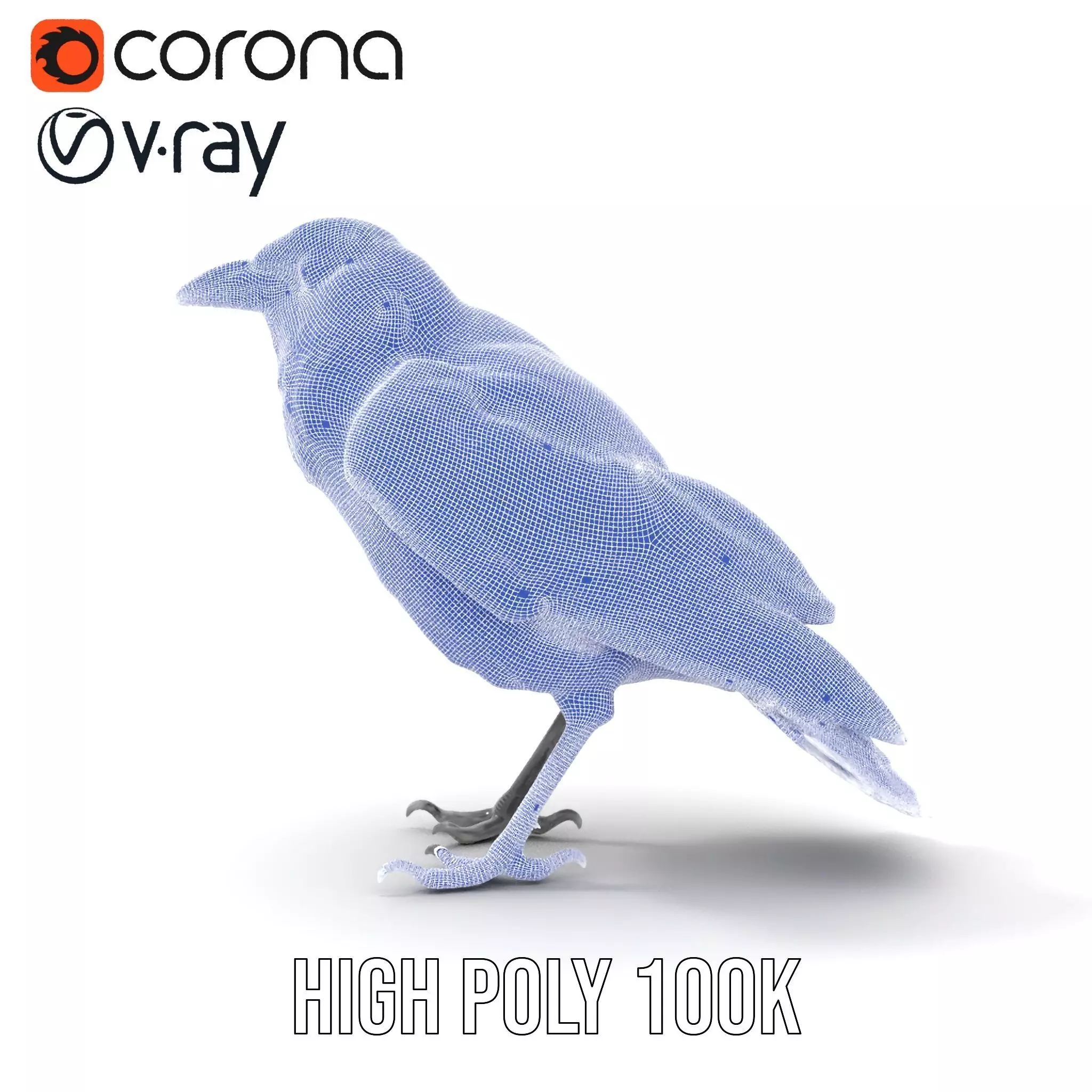 Sleek Raven Bird model pack Low-poly 3D model_32