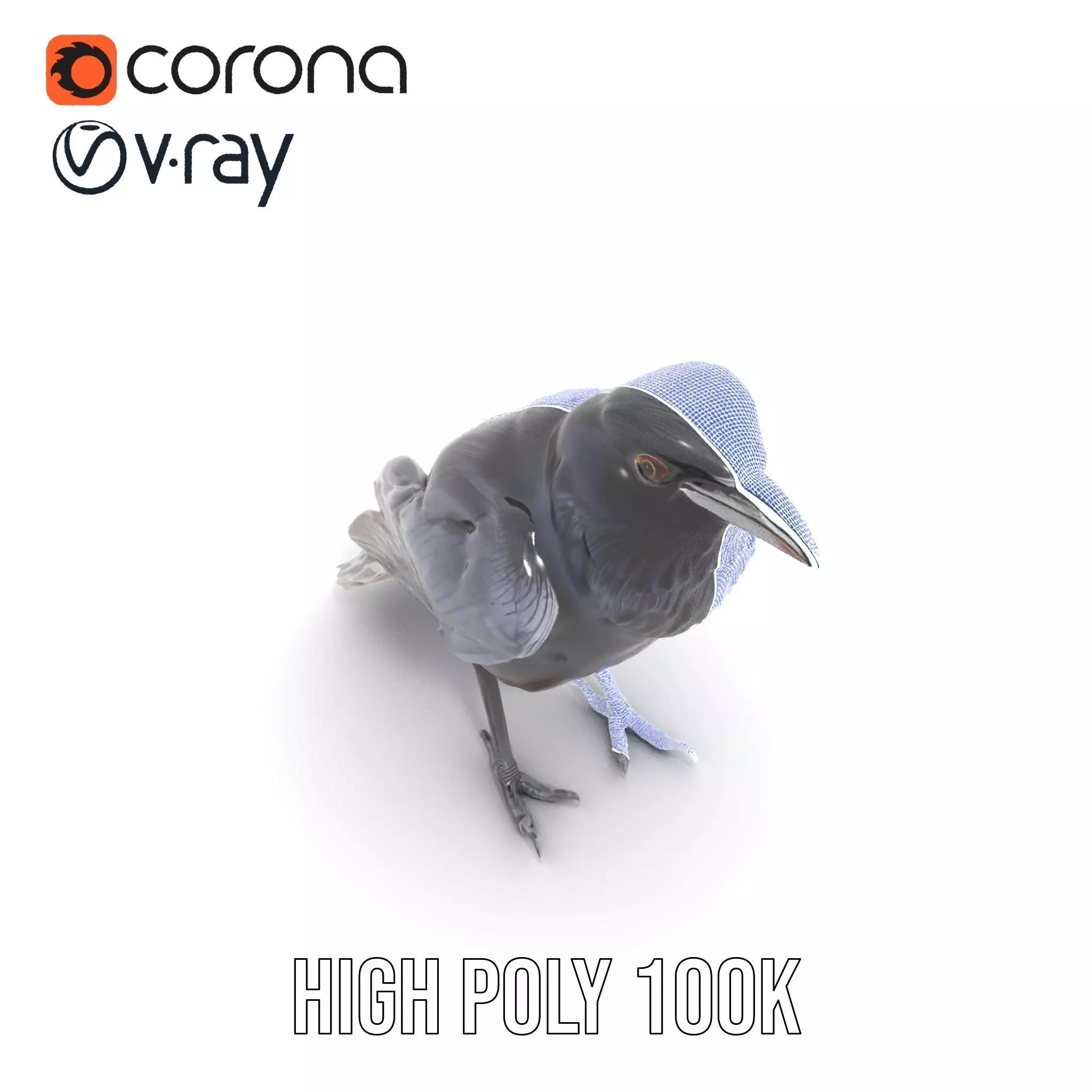 Sleek Raven Bird model pack Low-poly 3D model_28