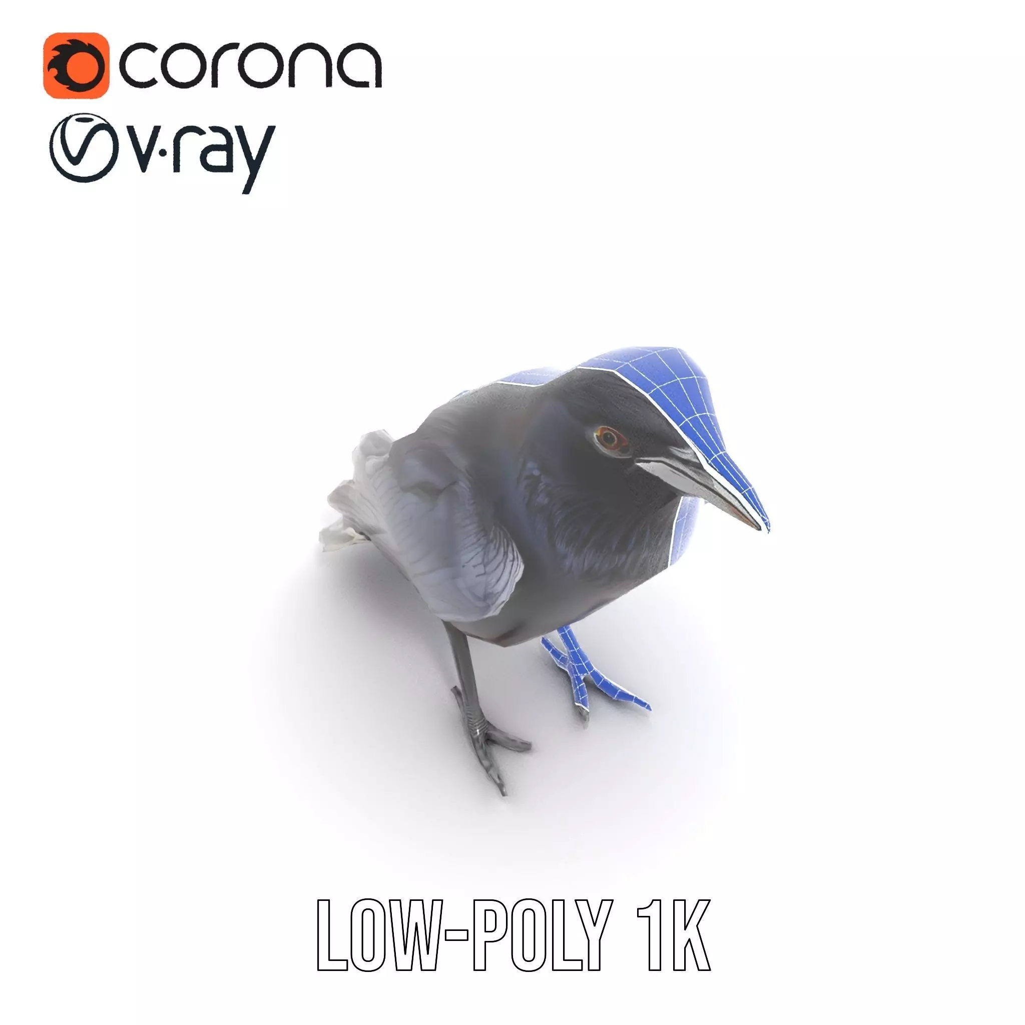 Sleek Raven Bird model pack Low-poly 3D model_16