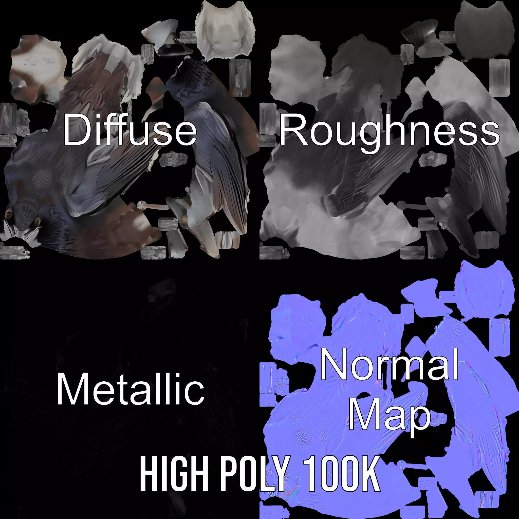 Sleek Raven Bird model pack Low-poly 3D model_3