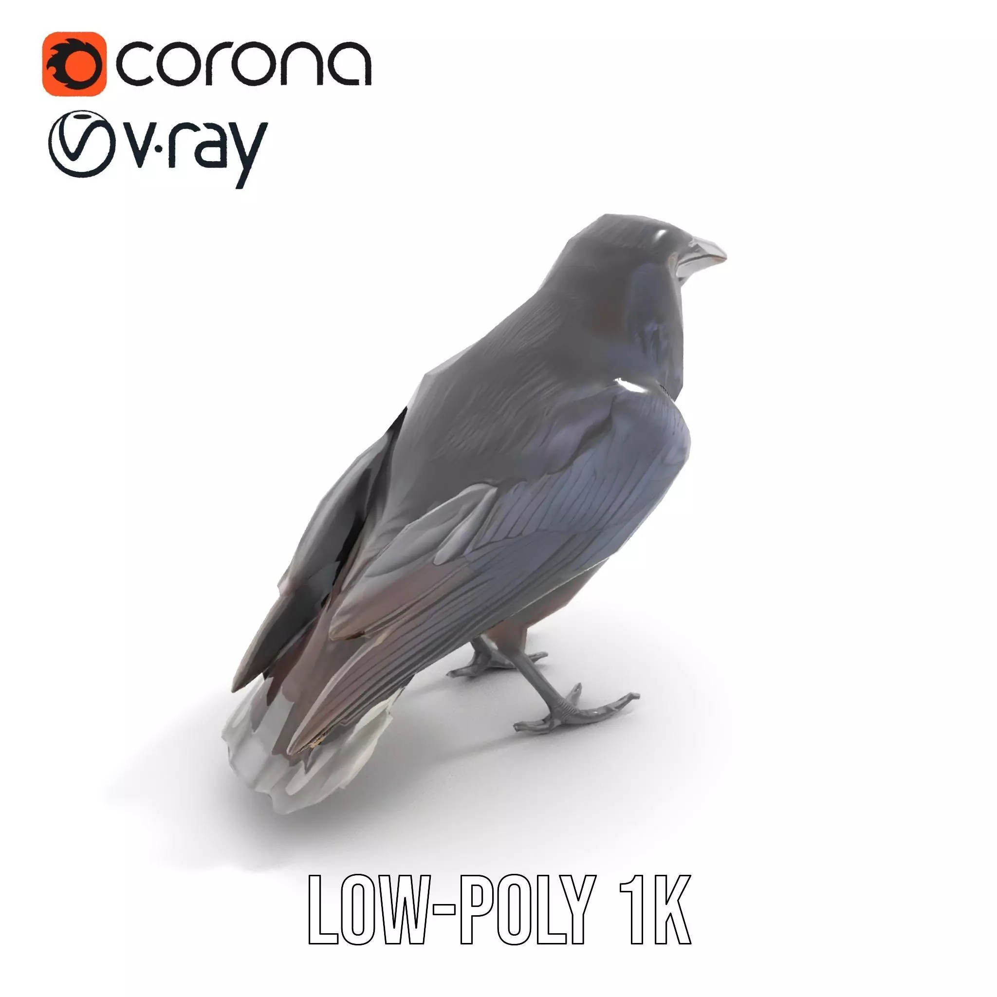 Sleek Raven Bird model pack Low-poly 3D model_9