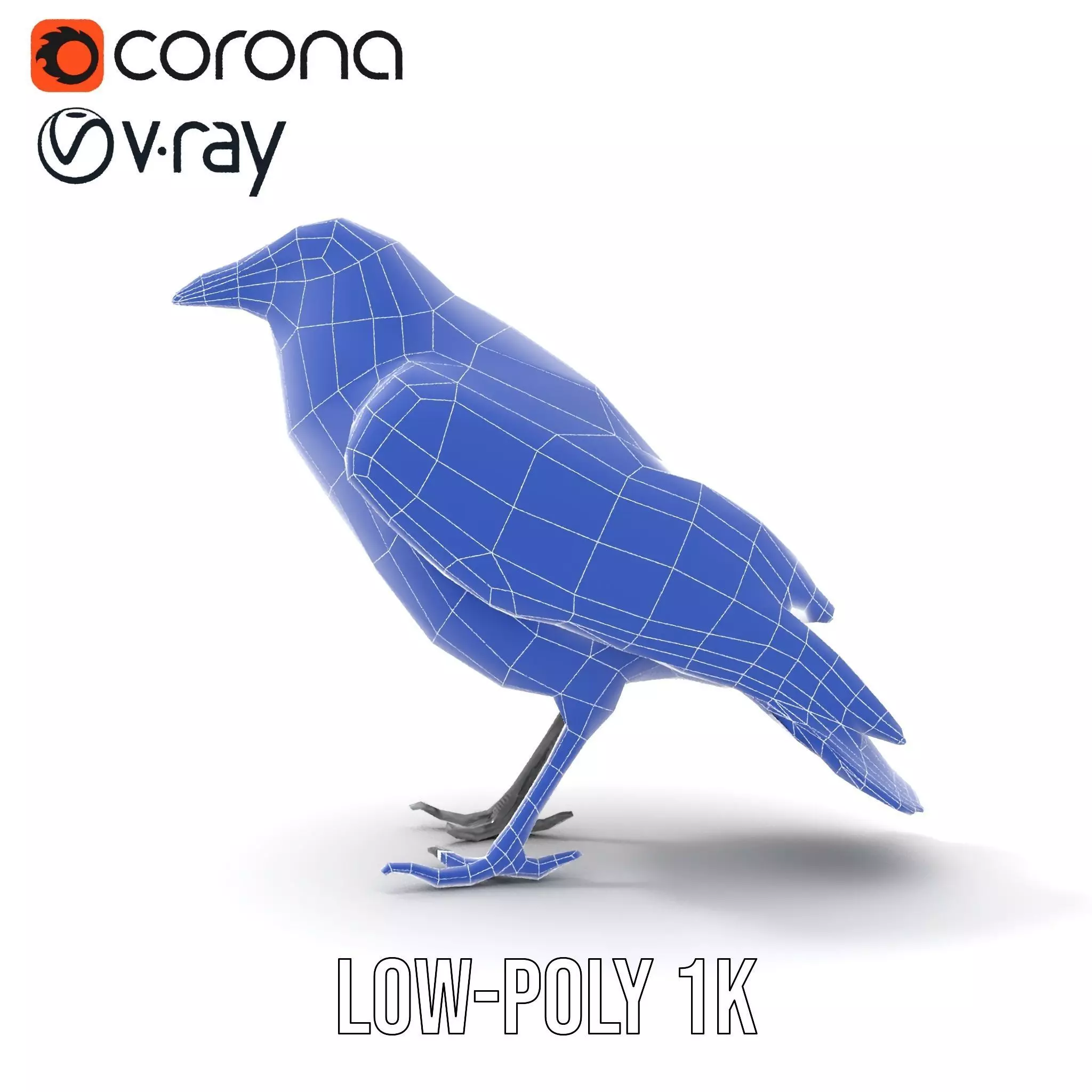 Sleek Raven Bird model pack Low-poly 3D model_25
