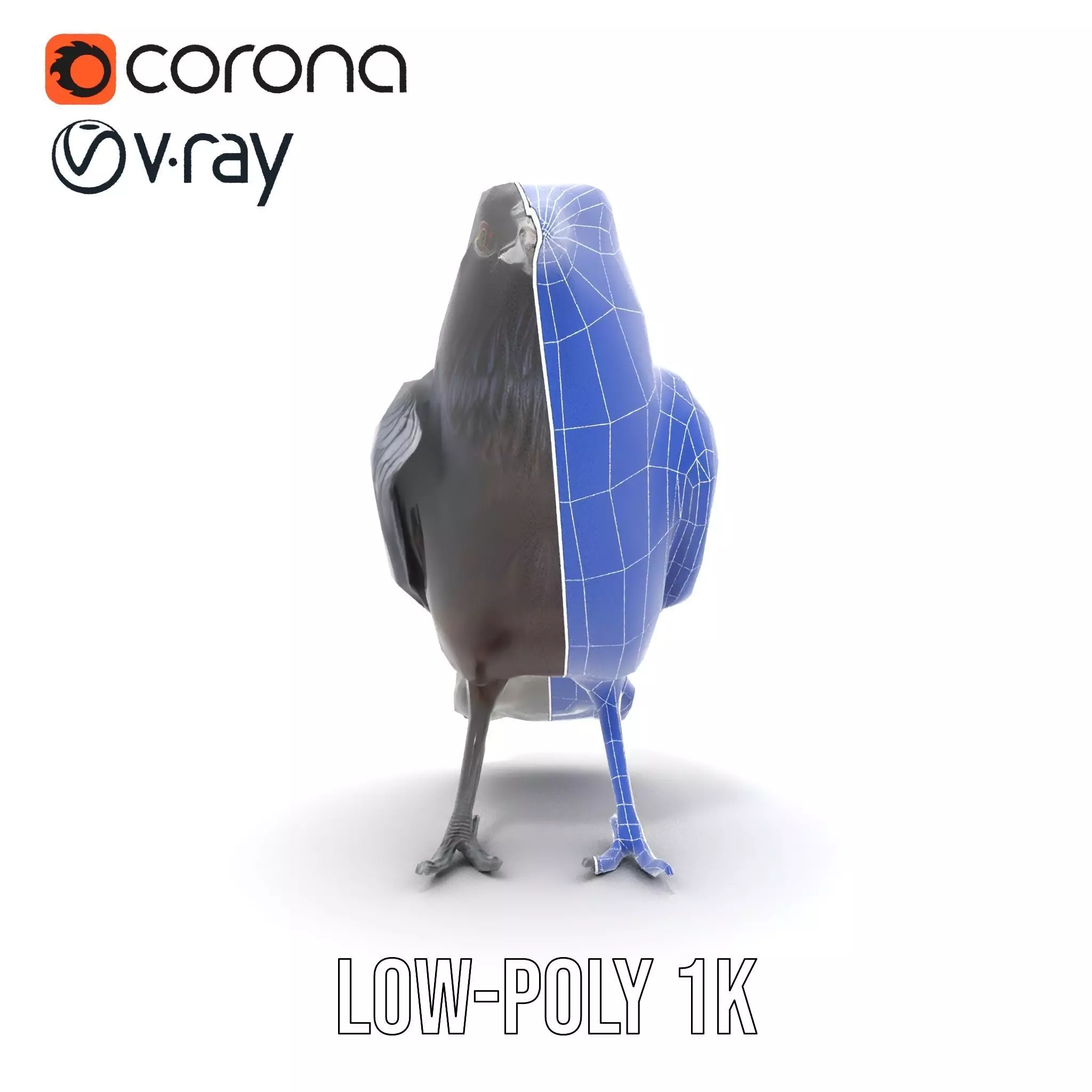 Sleek Raven Bird model pack Low-poly 3D model_19