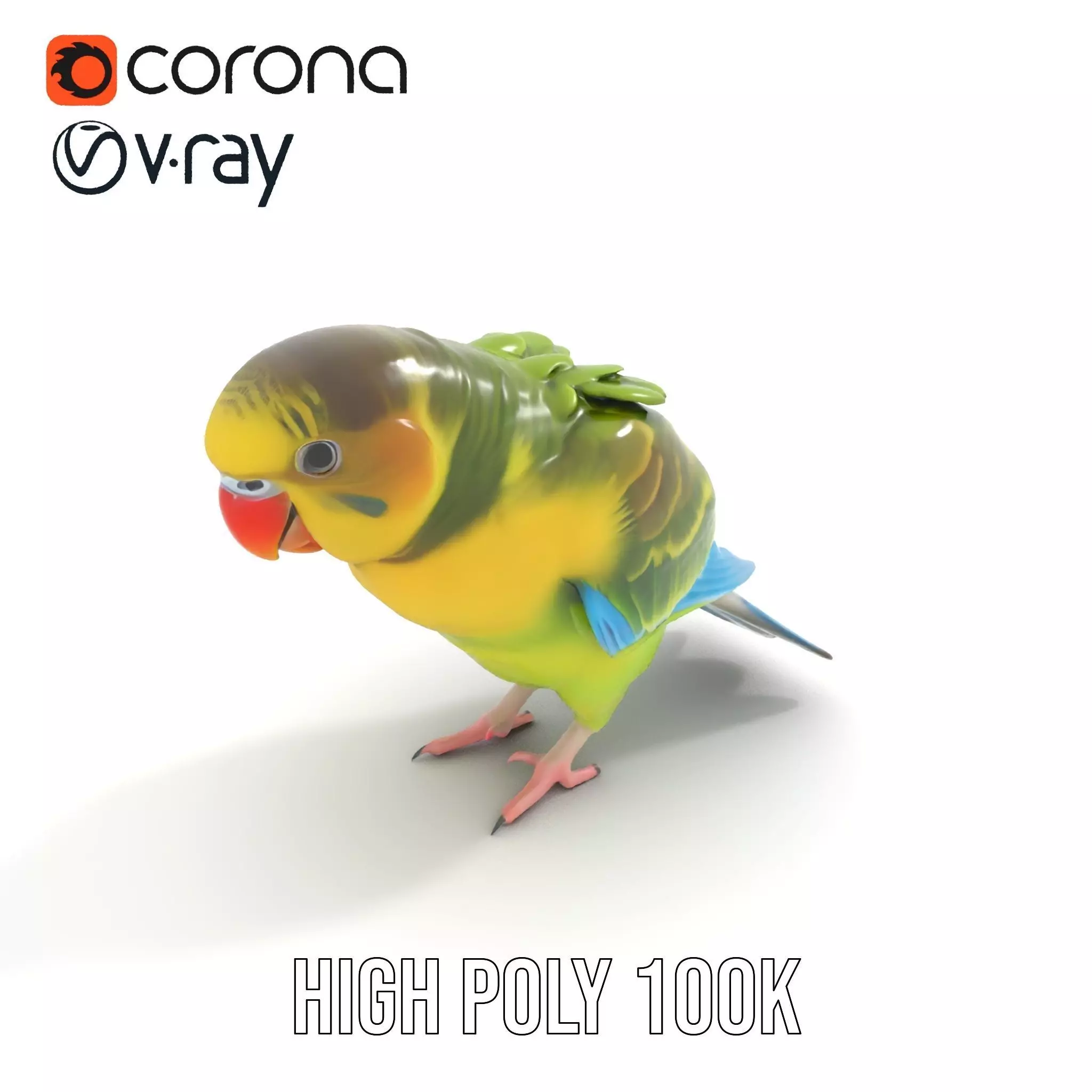 Colorful Parrot model pack Low-poly 3D model_21