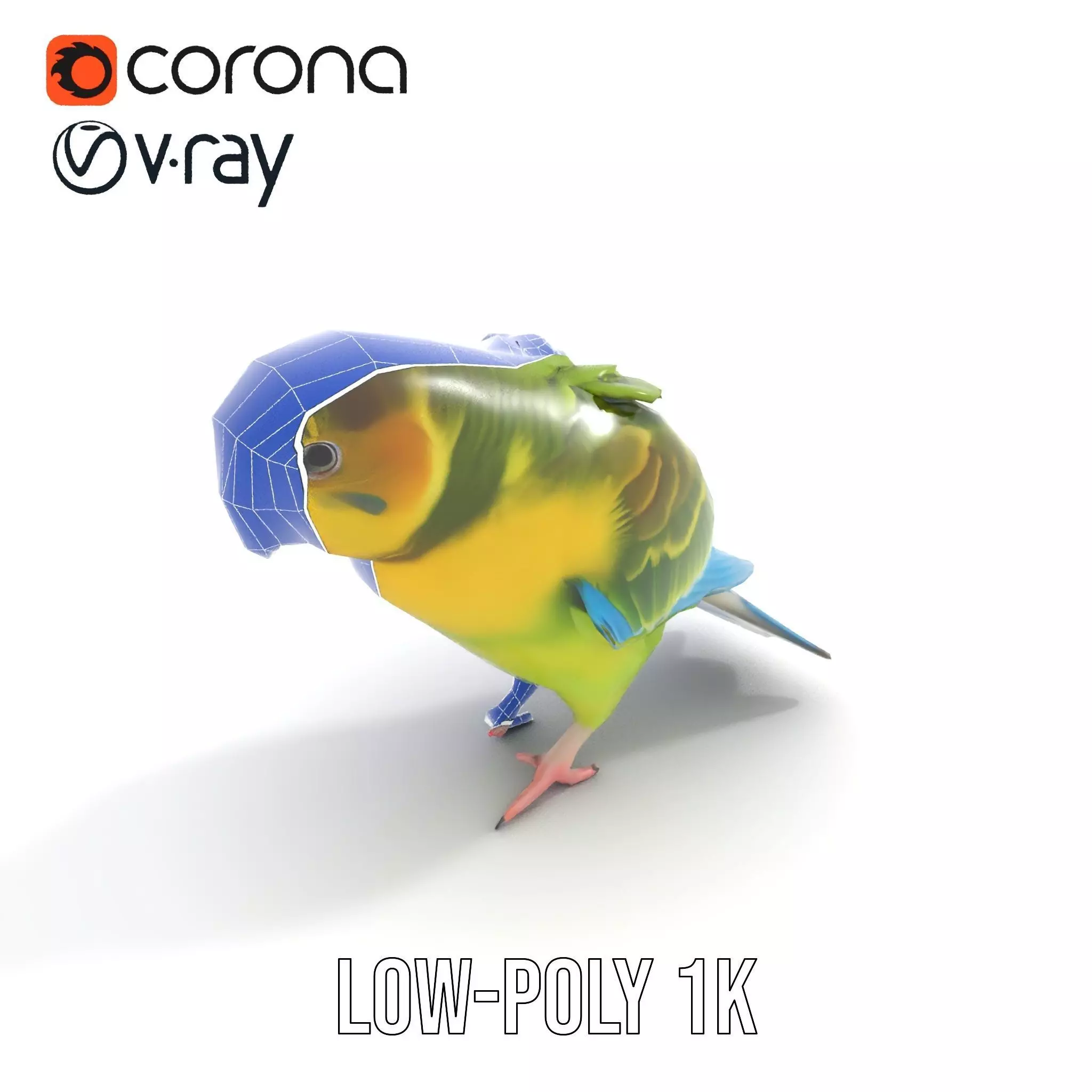 Colorful Parrot model pack Low-poly 3D model_26