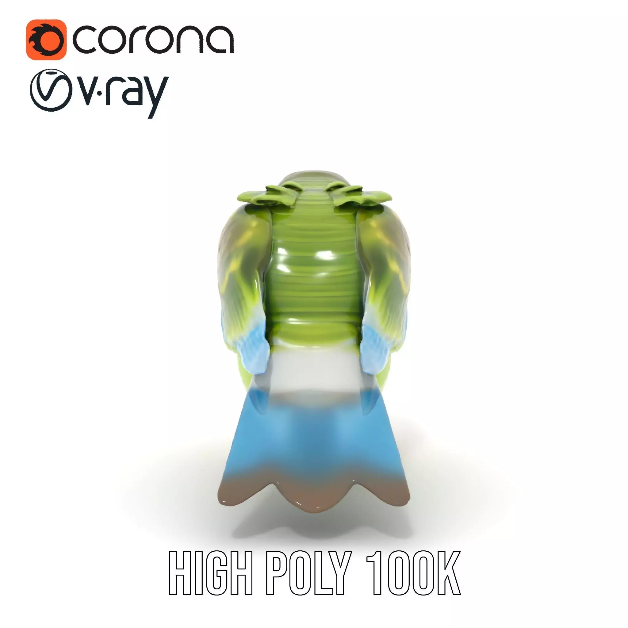 Colorful Parrot model pack Low-poly 3D model_33